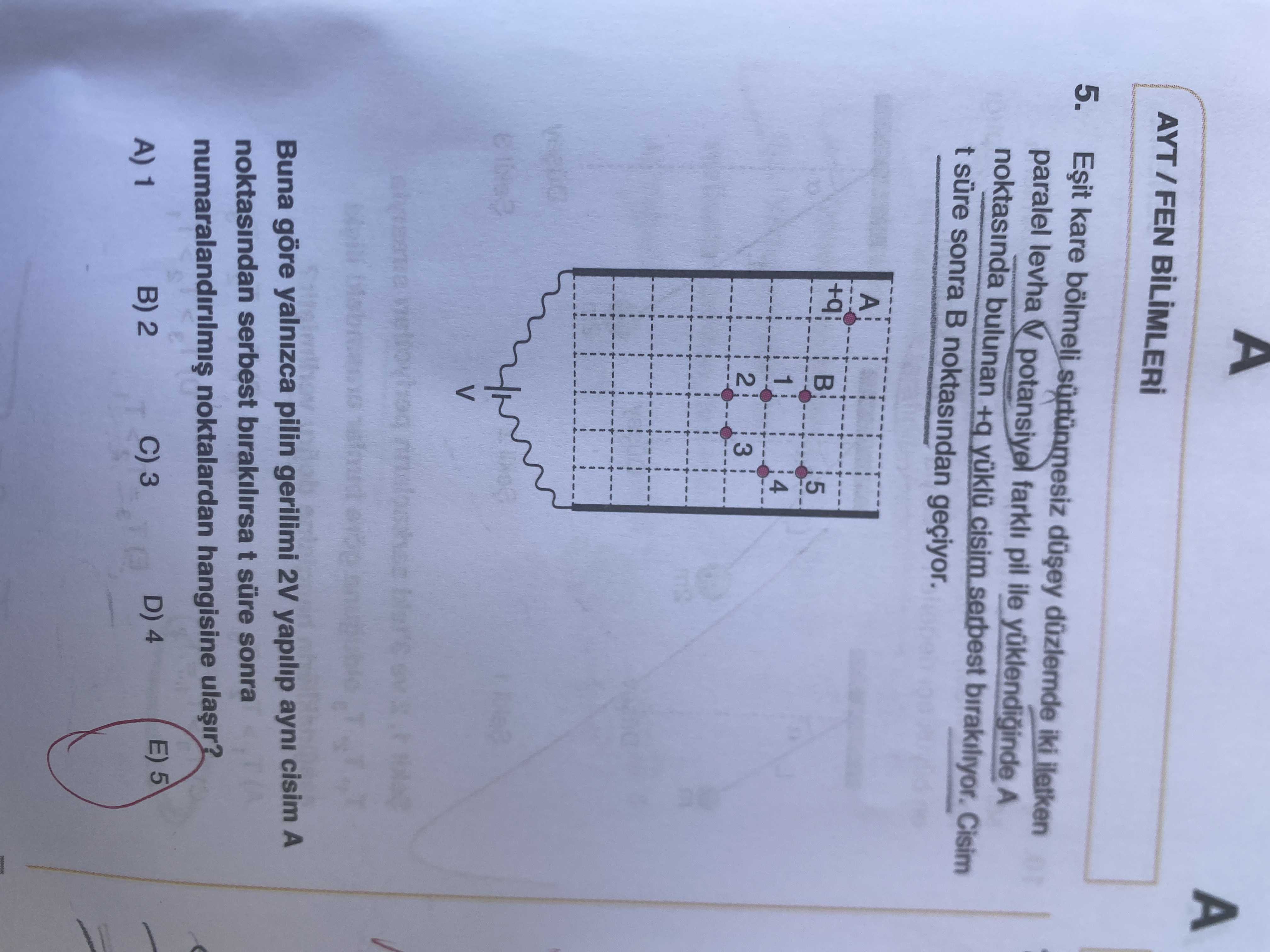 Eşit kare bölmeli sürtünmesiz düşey düzlemde iki iletken paralel levha arasında V potansiyelle