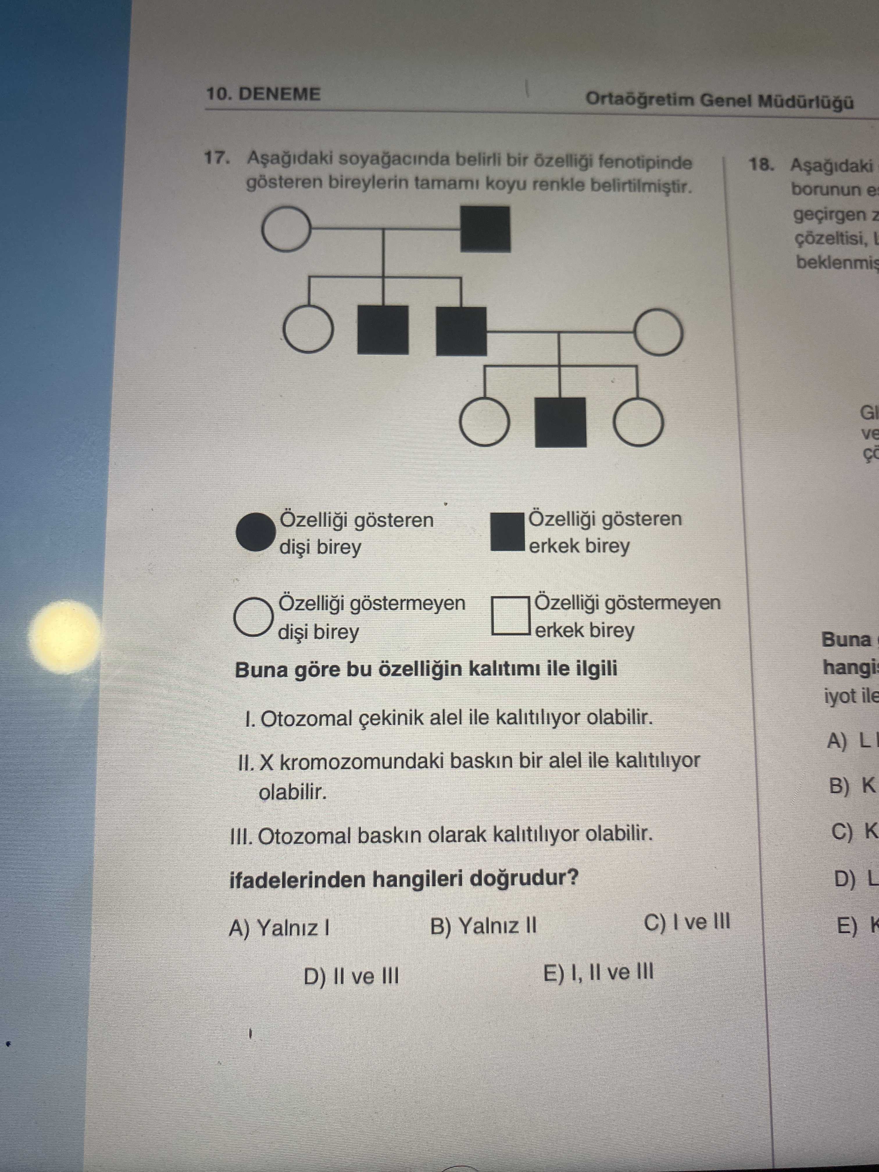 Aşağıdaki soyağacında belirli bir özelliği fenotipinde gösteren bireylerin tamamı koyu renkle