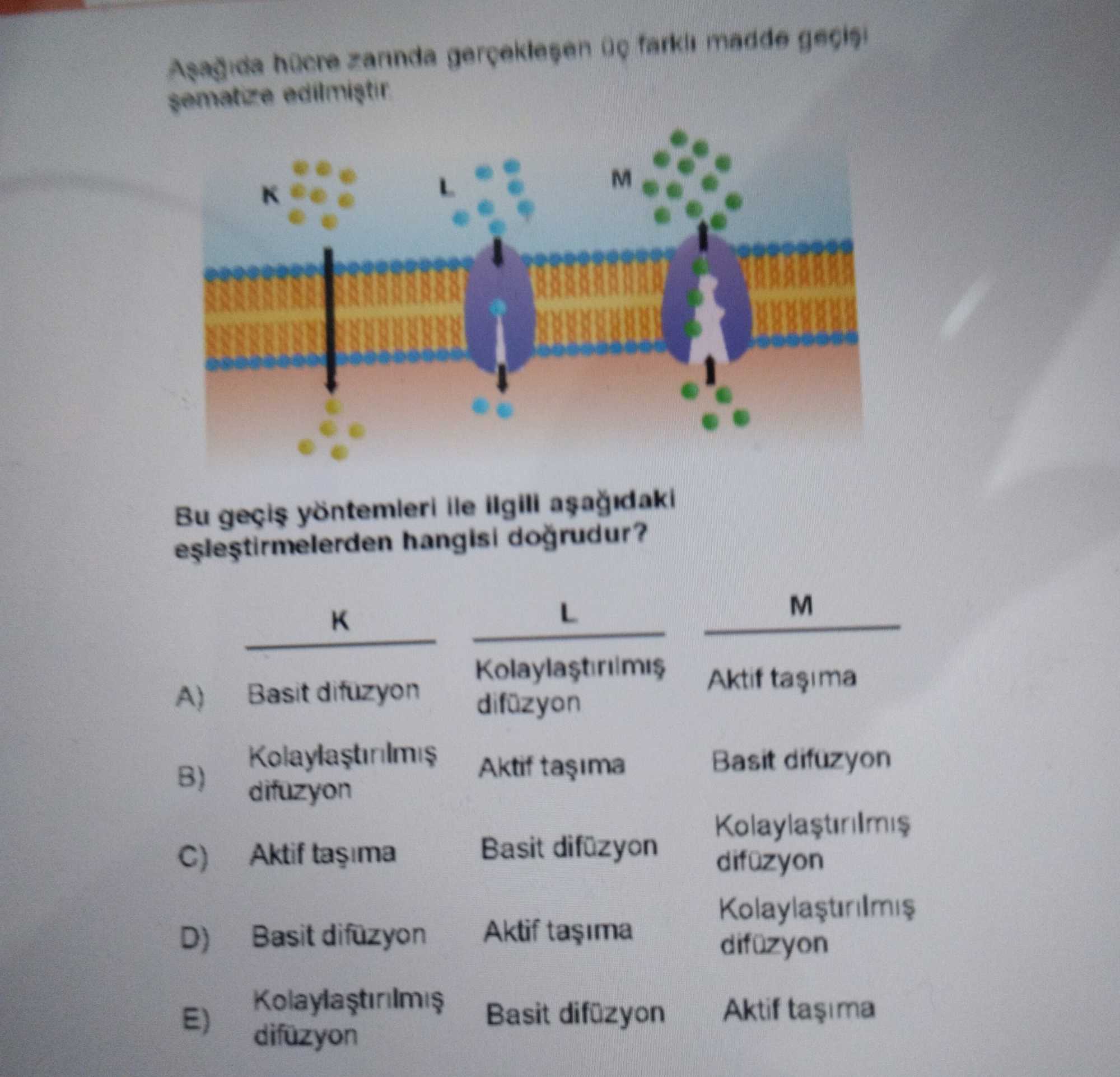 Aşağıda hücre zarında gerçekleşen üç farklı madde geçişi şematize edilmiştir. Bu geçiş yöntemleri ile ilgili aşağıdaki