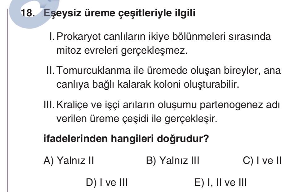 Eşeysiz üreme çeşitleriyle ilgili I. Prokaryot canlıların ikiye bölünmeleri sırasında mitoz evreleri