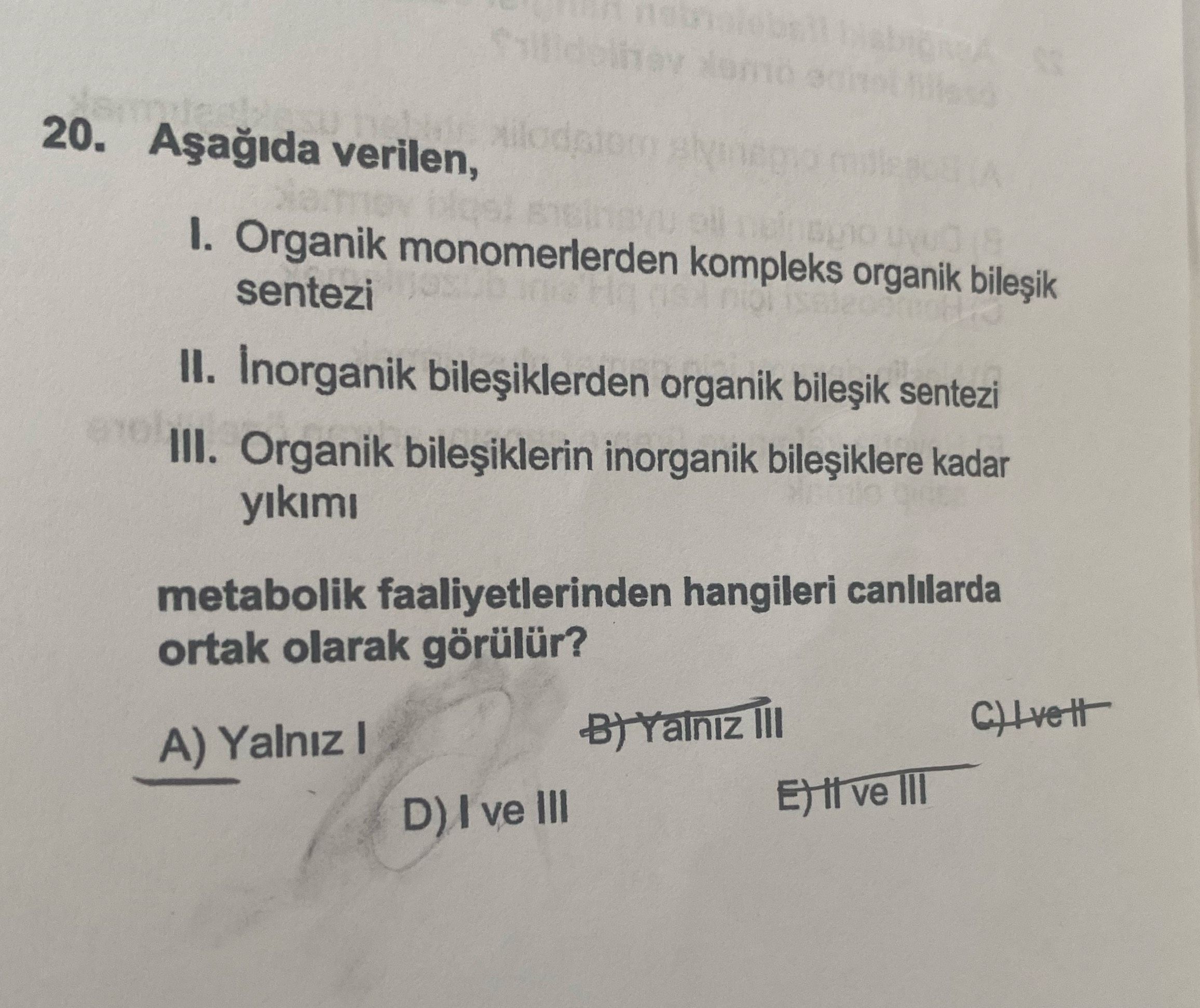 Biyoloji (12. Sınıf)