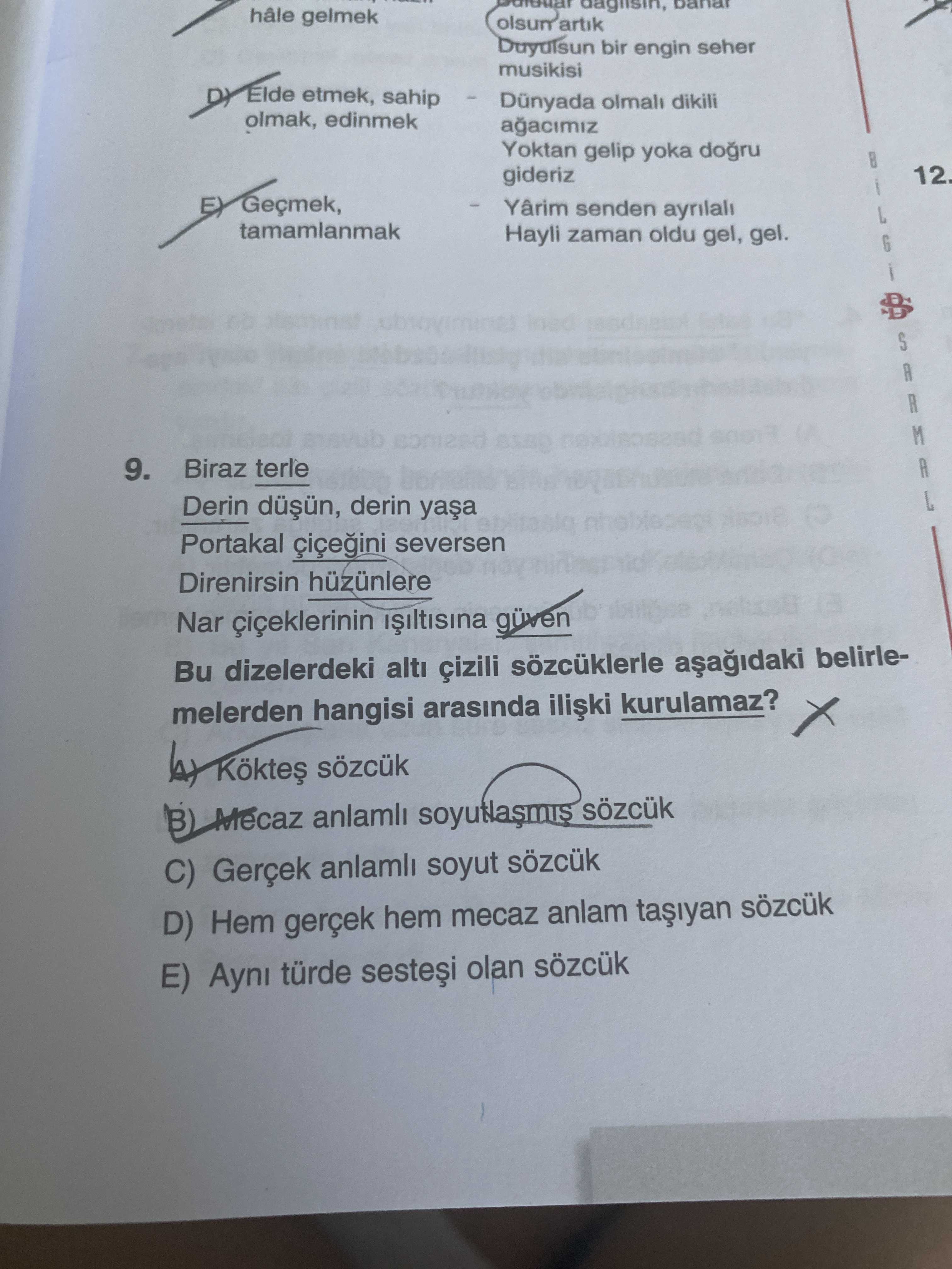 Türkçe (12. Sınıf)