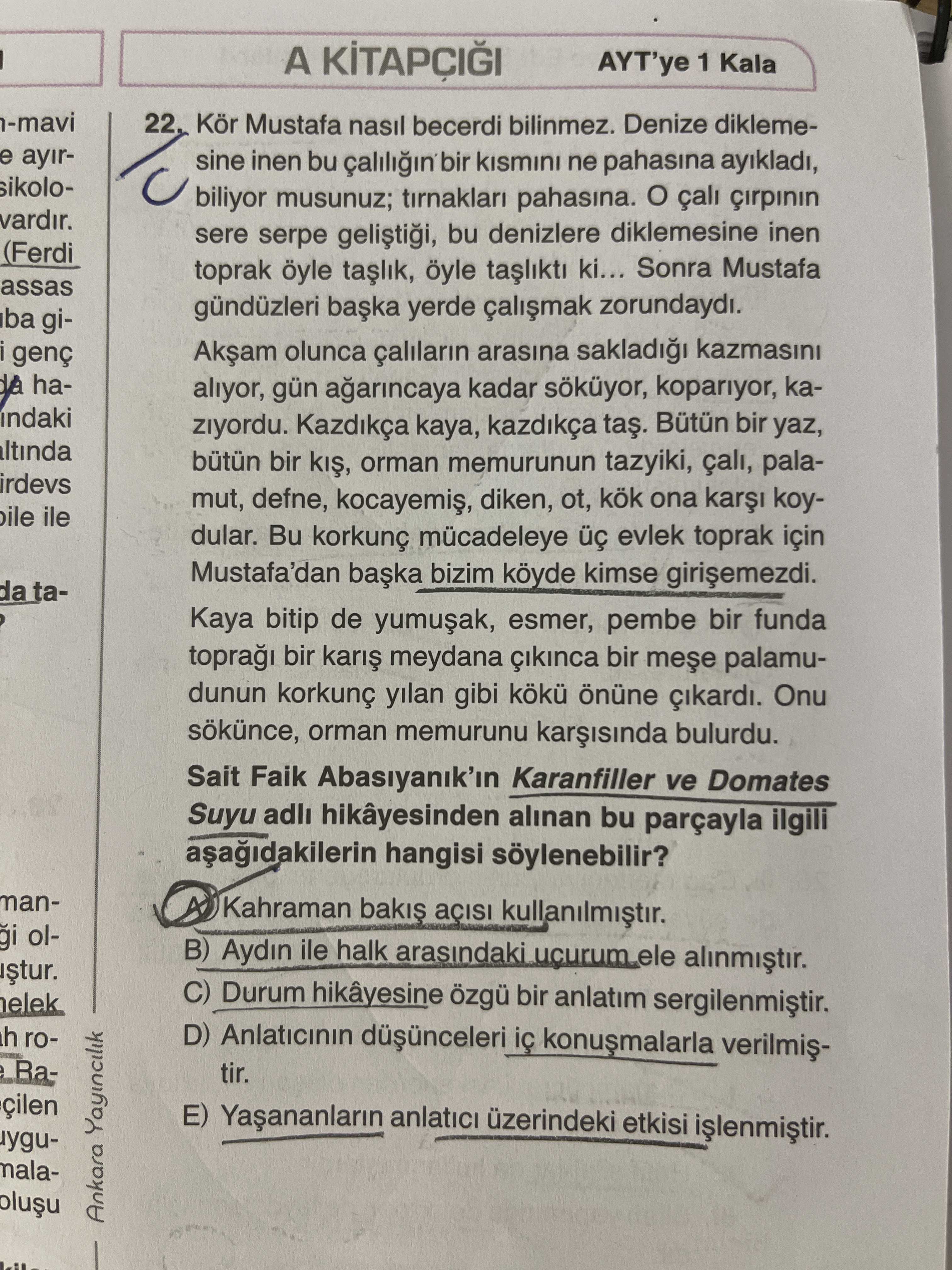 Kör Mustafa nasıl becerdi bilinmez. Denize diklemesine inen bu çalılığın bir kısmını ne pahasına
