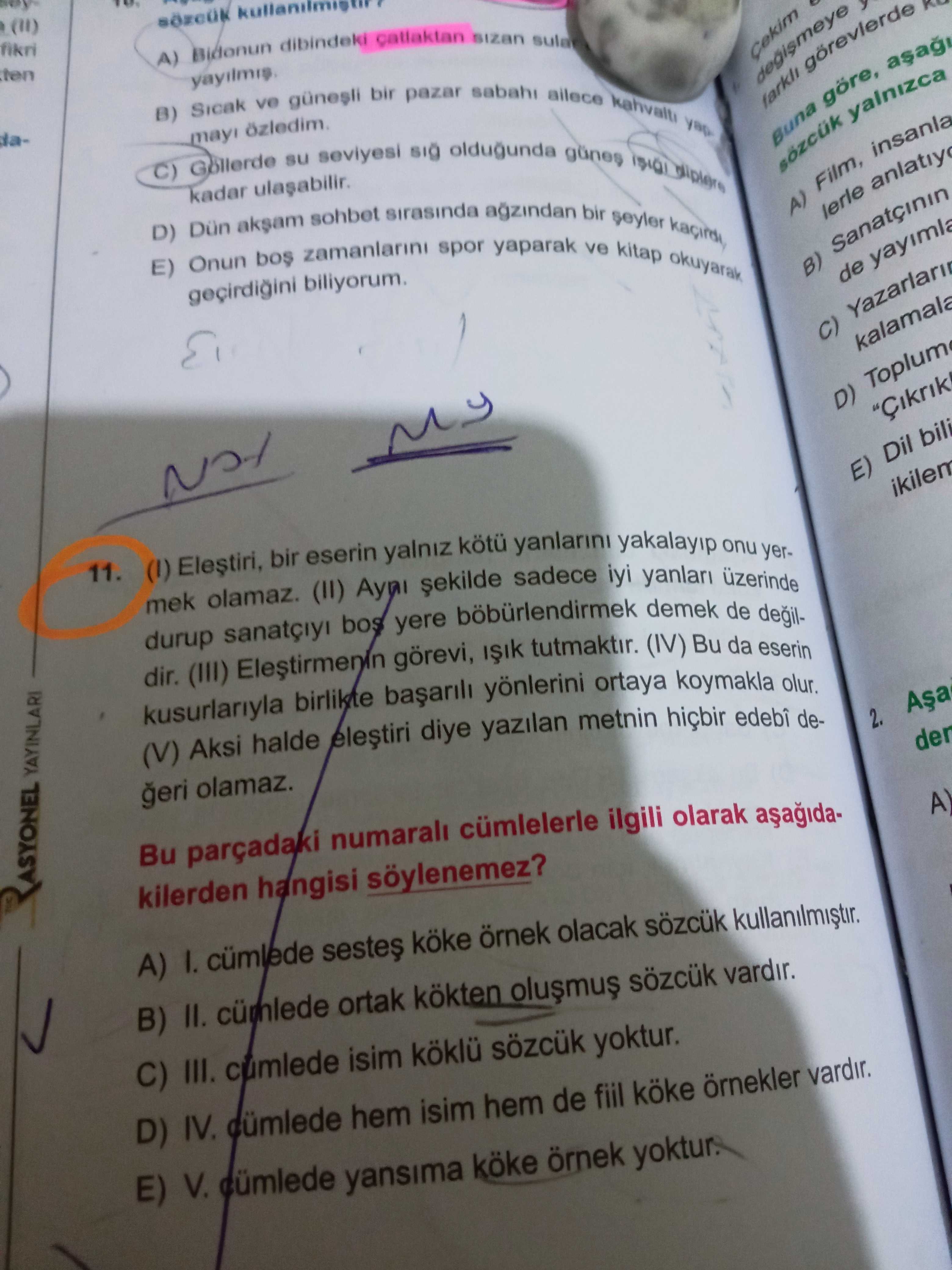Türkçe (Mezun)