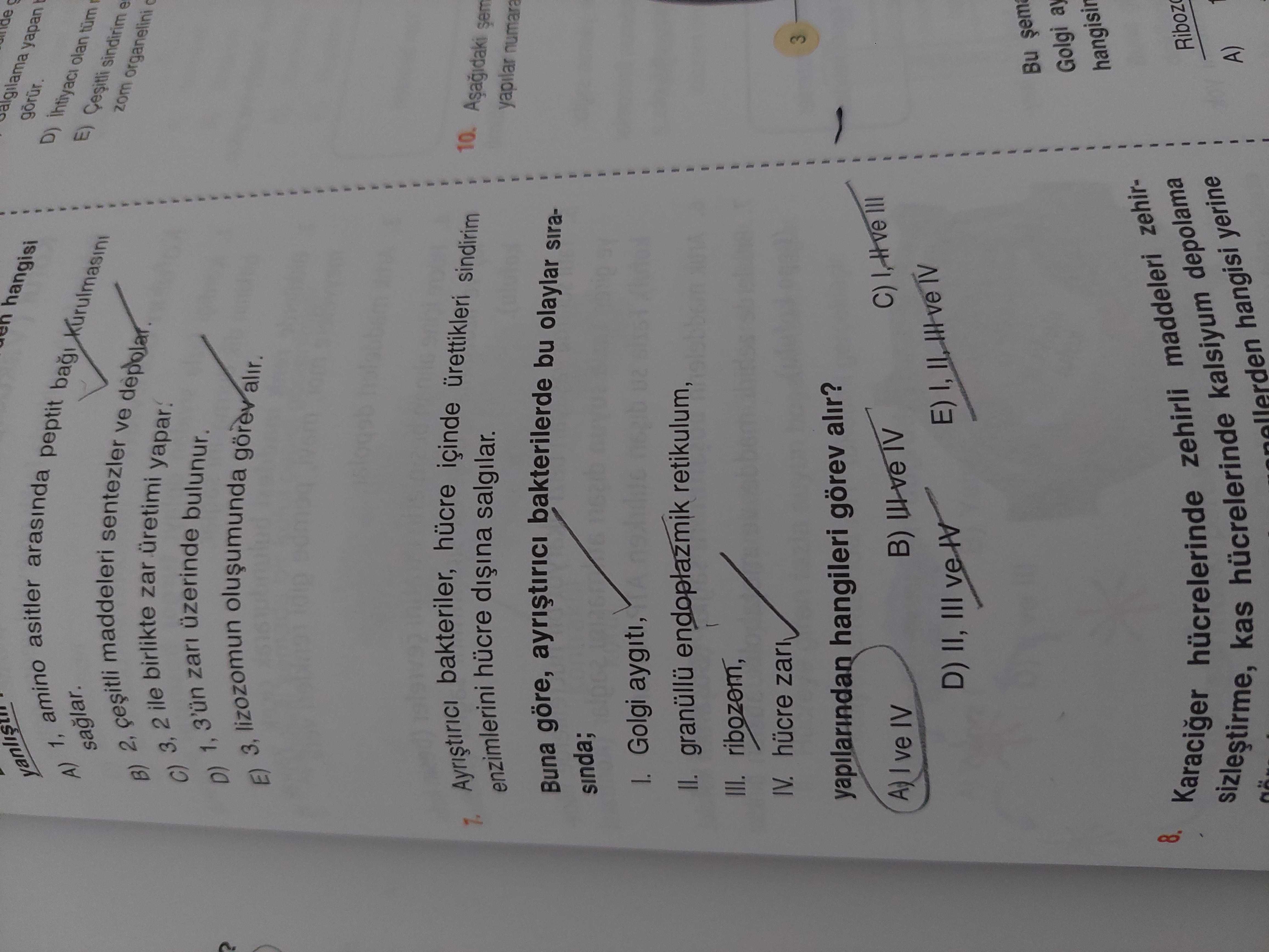 Ayrıştırıcı bakteriler, hücre içinde ürettikleri sindirim enzimlerini hücre dışına salgılar. Buna