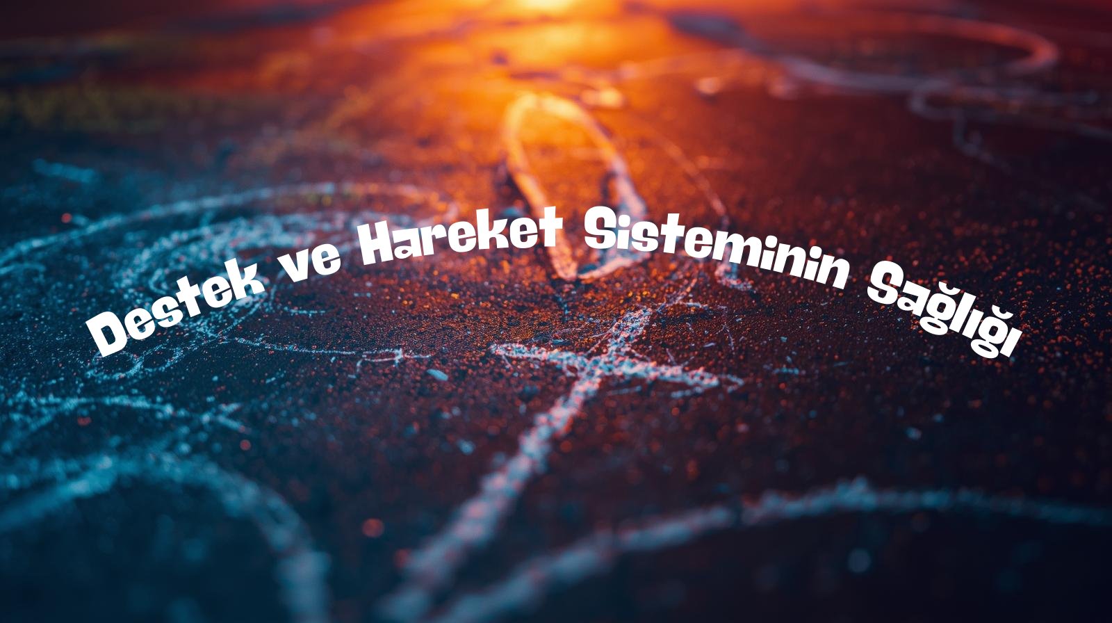 Destek ve Hareket Sisteminin Sağlığı: Neler Yapmalıyız, Nelere Dikkat Etmeliyiz?