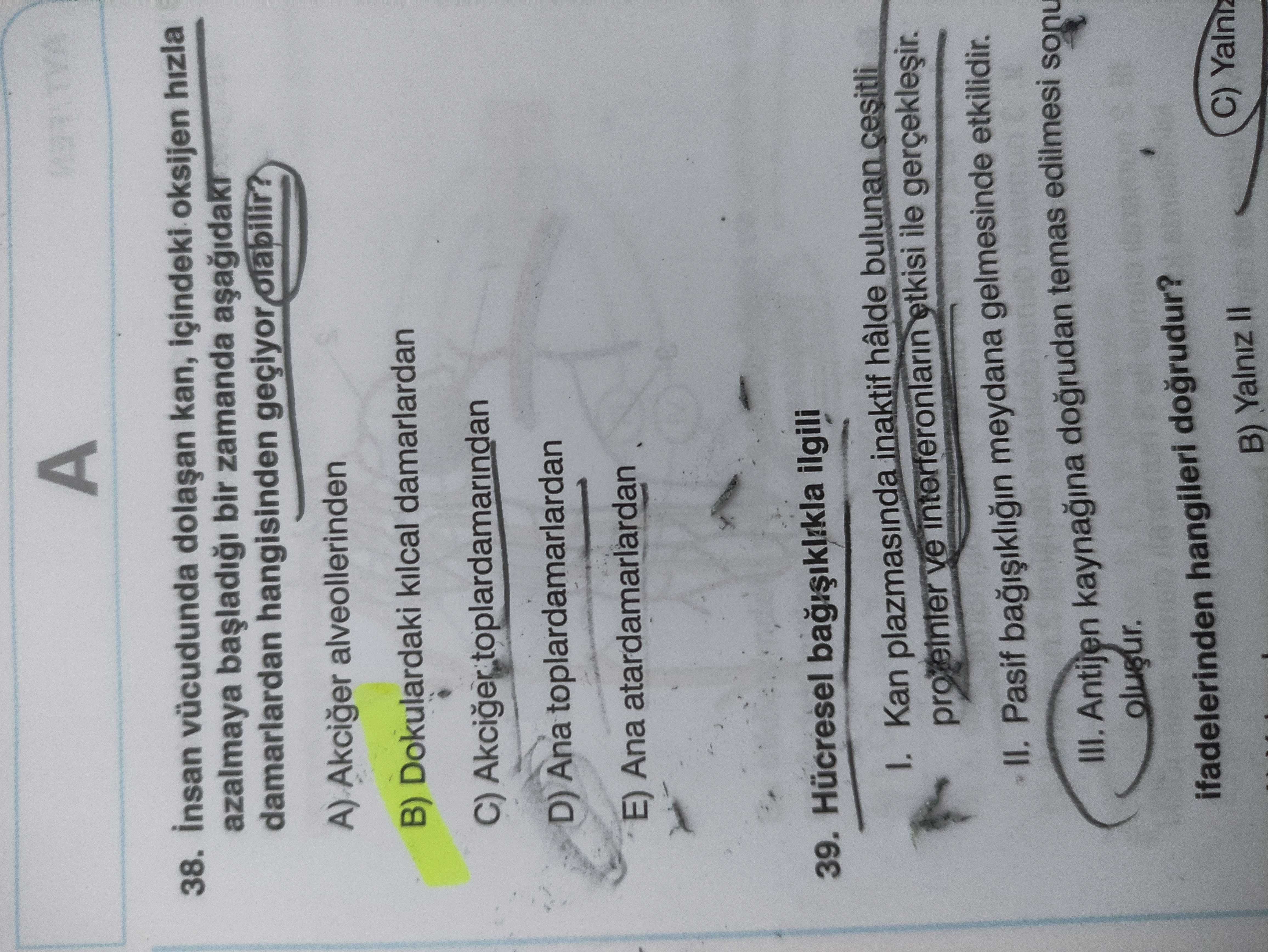 İnsan vücudunda dolaşan kan, içindeki oksijen hızla azalmaya başladığı bir zamanda aşağıdaki