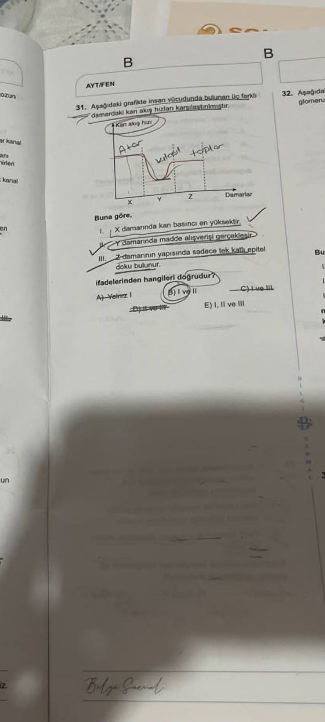 Aşağıdaki grafikte insan vücudunda bulunan üç farklı damardaki kan akış hızları karşılaştırılmıştır