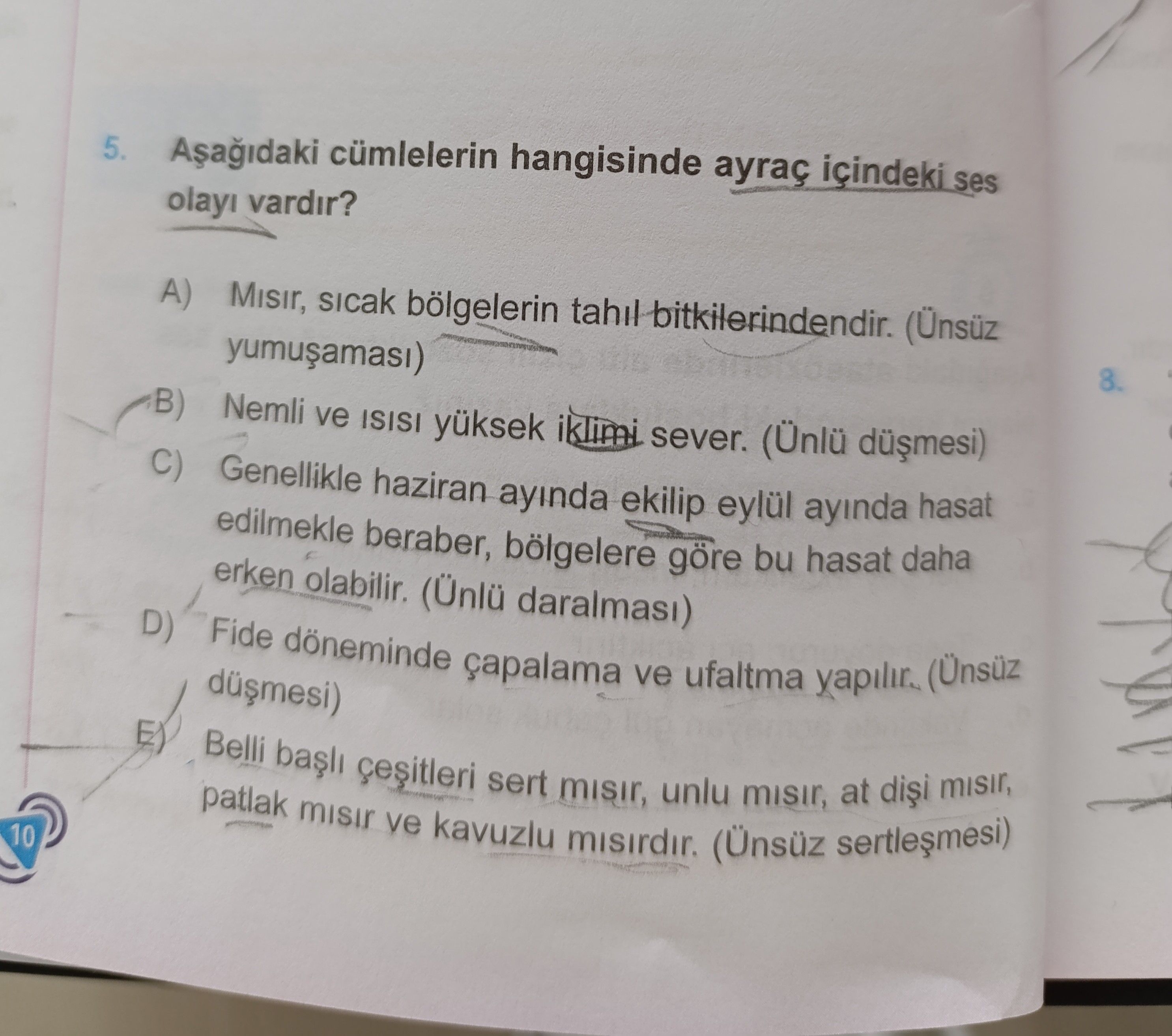 Aşağıdaki cümlelerin hangisinde ayraç içindeki ses olayı vardır?