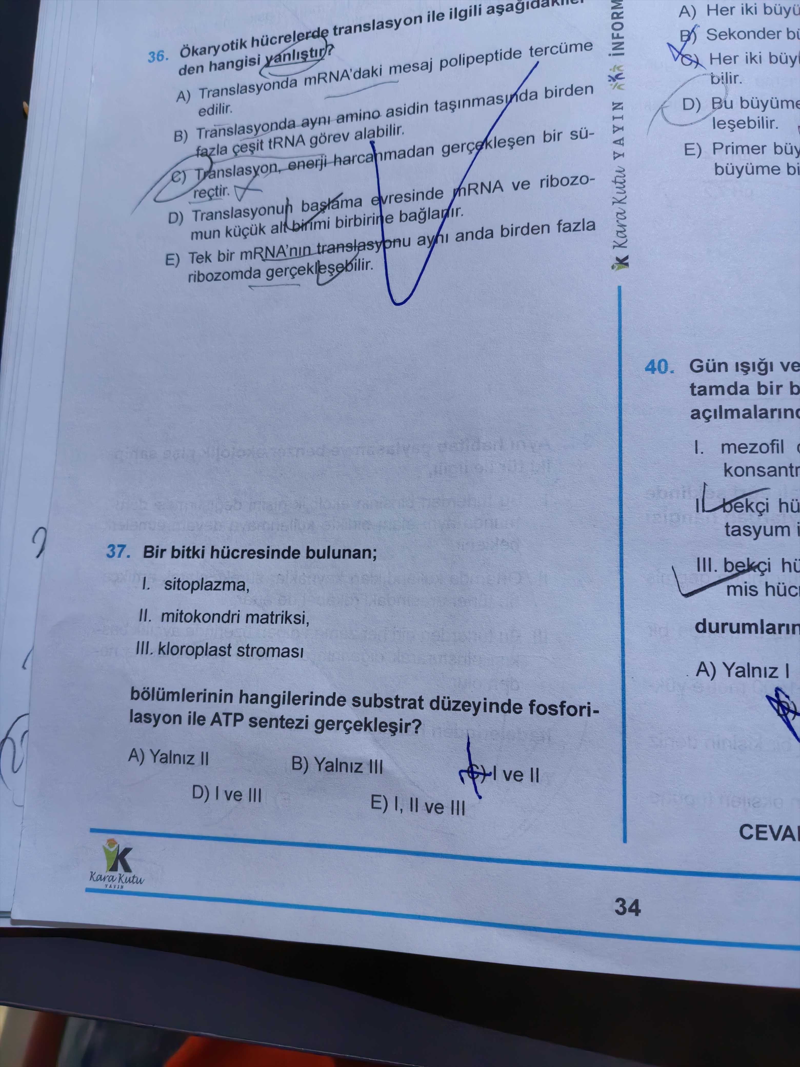 Ökaryotik hücrelerde translasyon ile ilgili aşağıdakilerden hangisi yanlıştır?
