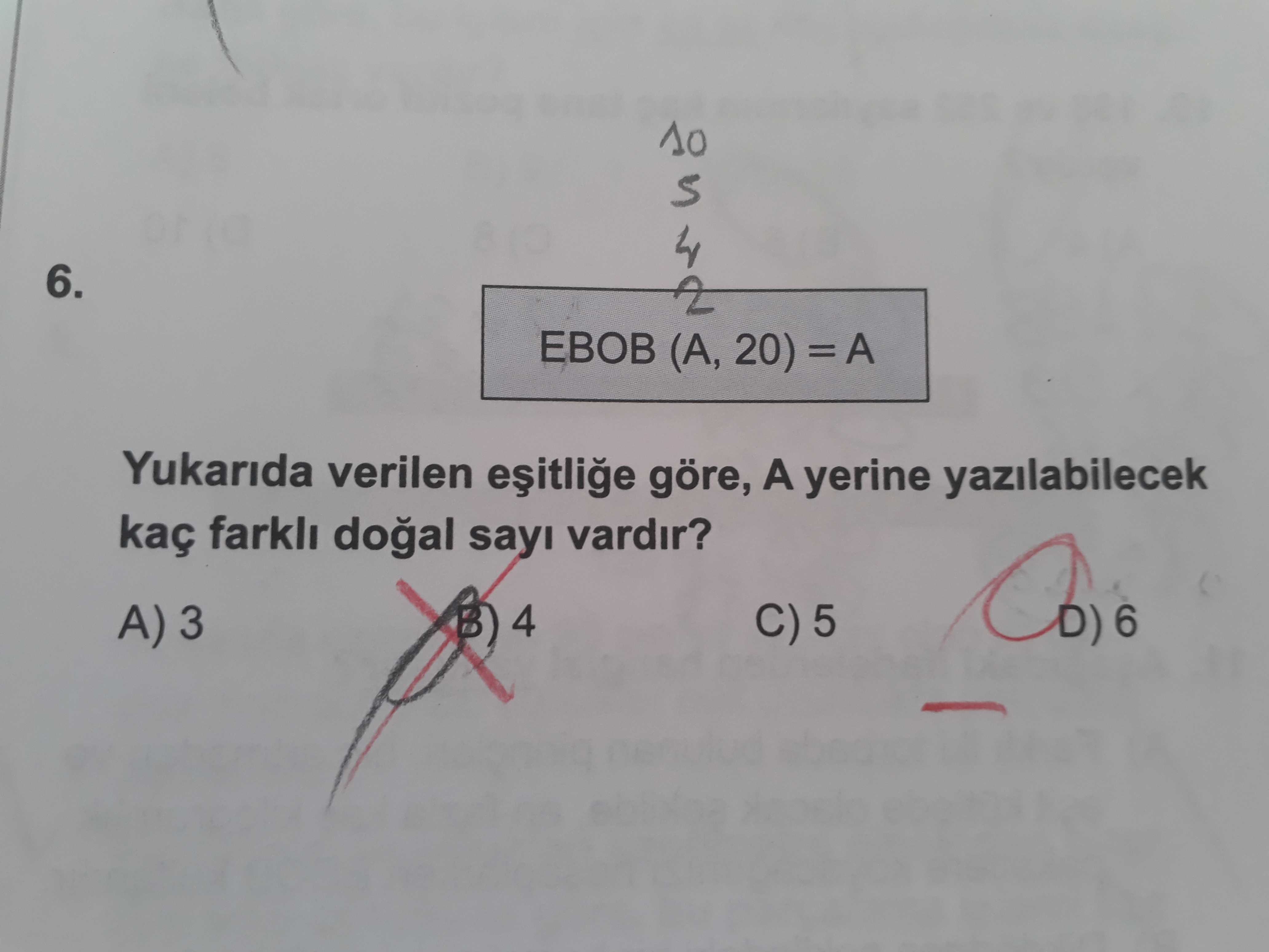 Matematik (8. Sınıf)