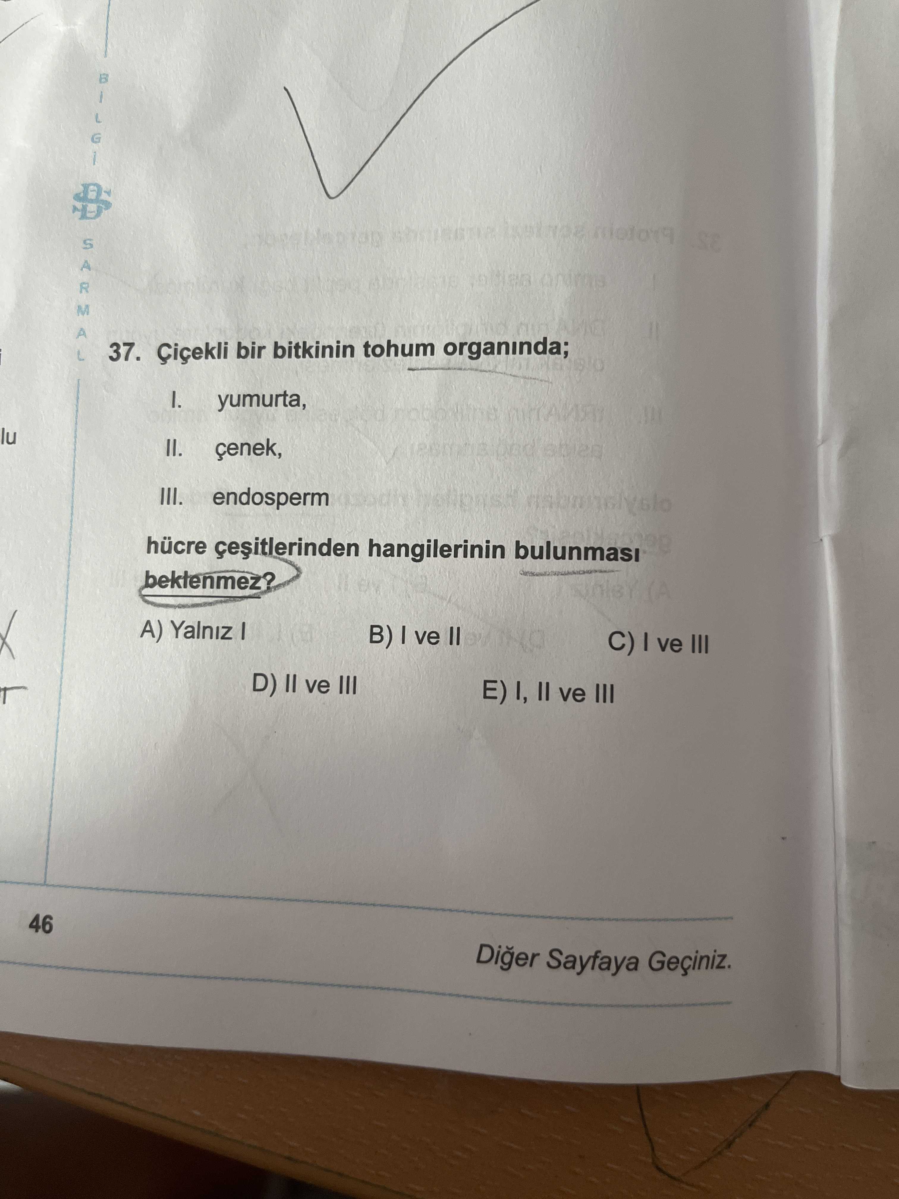 Çiçekli bir bitkinin tohum organında; I. yumurta, II. çenek, III. endosperm hücre çeşitlerinden
