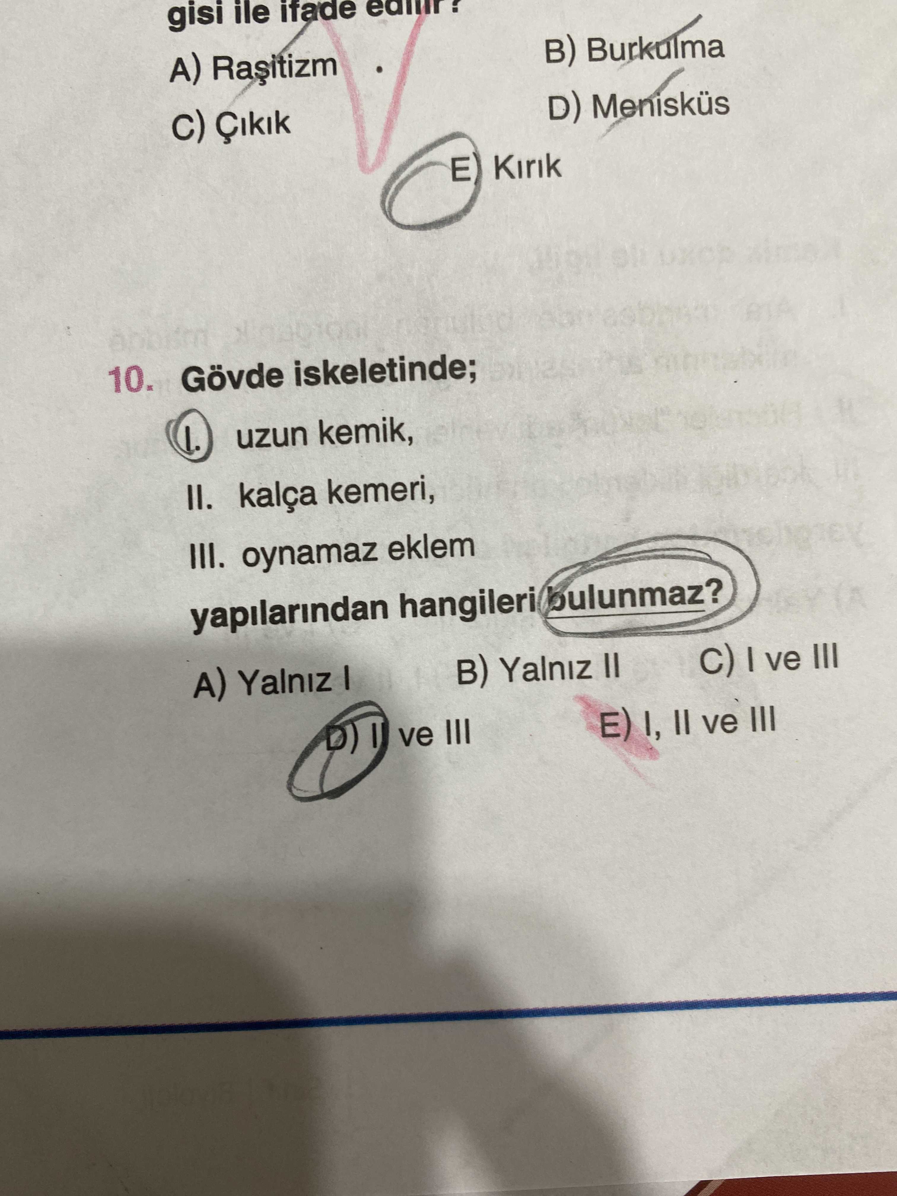 Gövde iskeletinde; I. uzun kemik, II. kalça kemeri, III. oynamaz eklem yapılarından hangileri