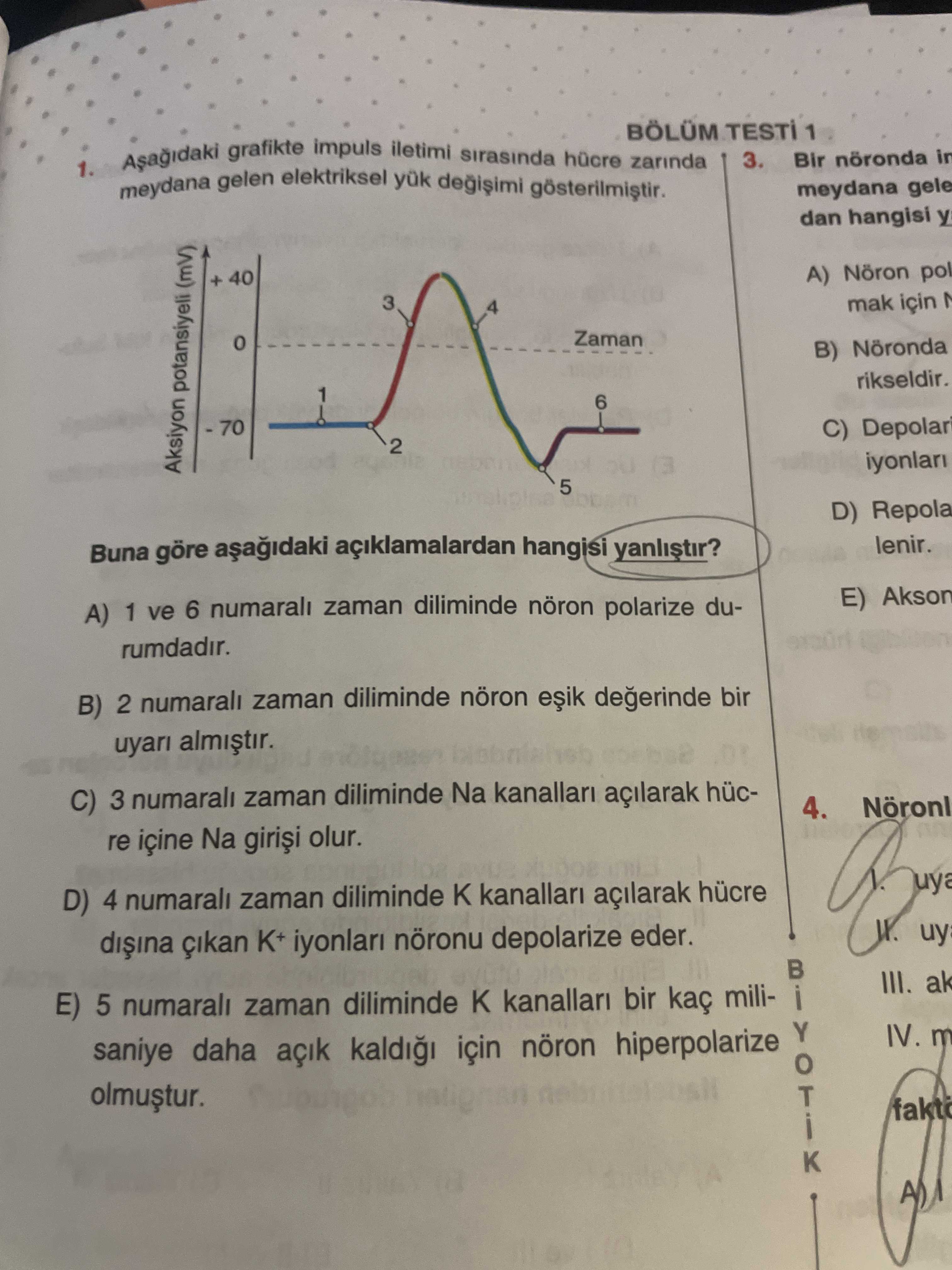 Biyoloji (11. Sınıf)
