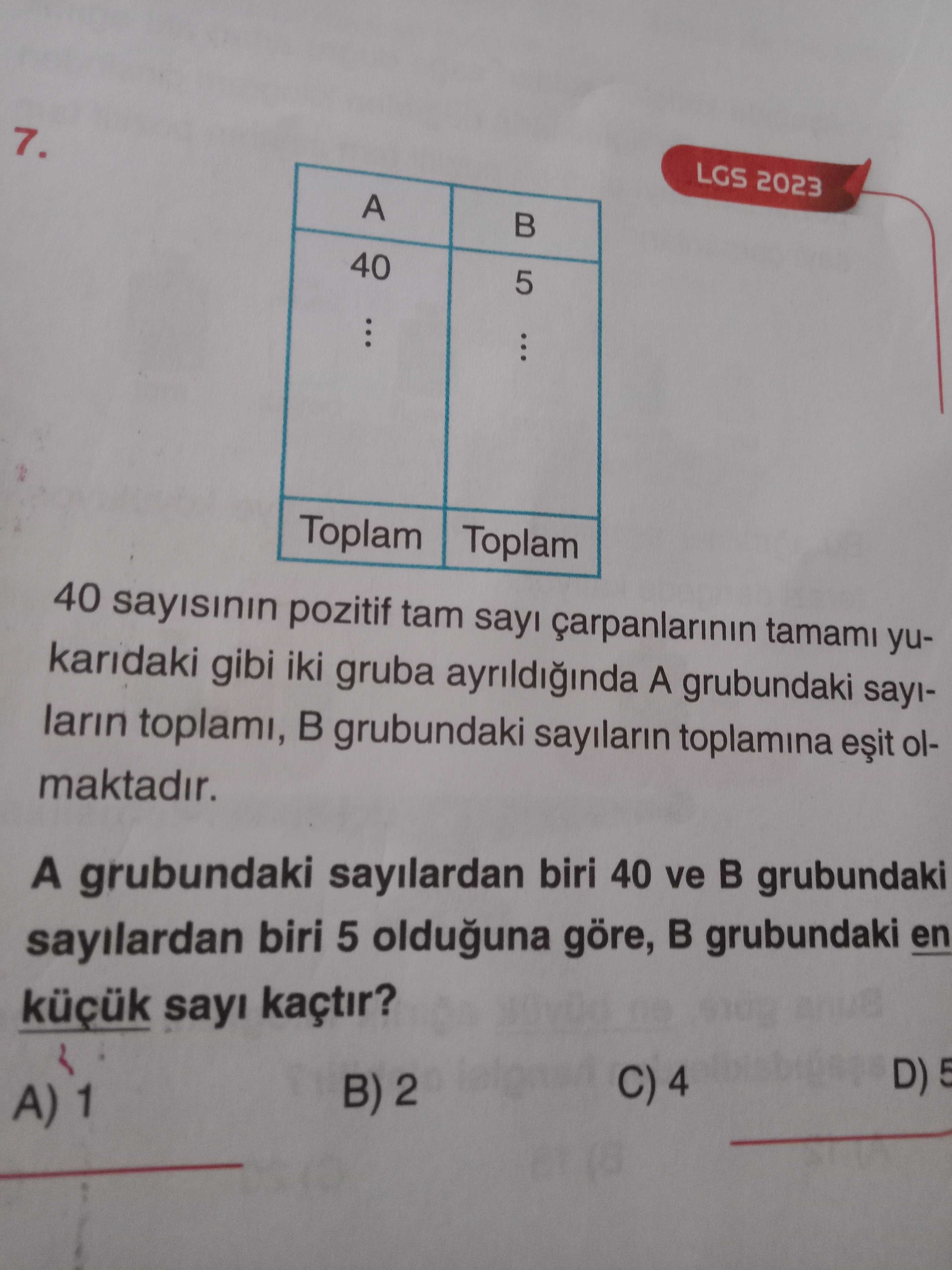 Matematik (8. Sınıf)