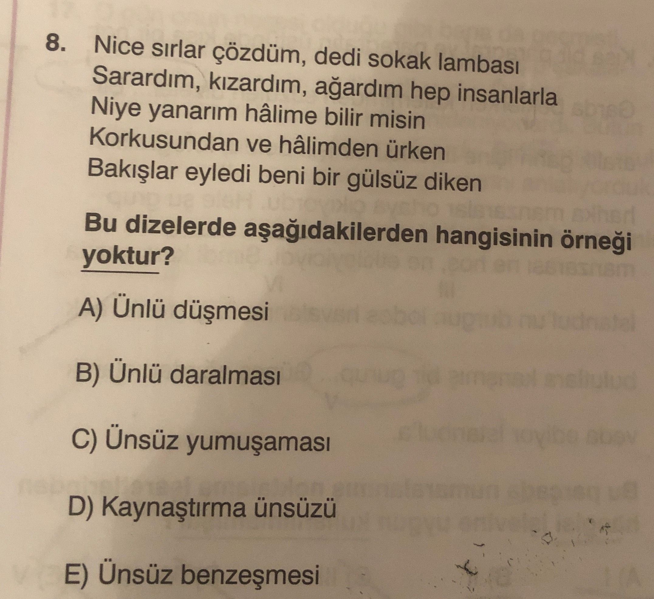 Türkçe (Mezun)