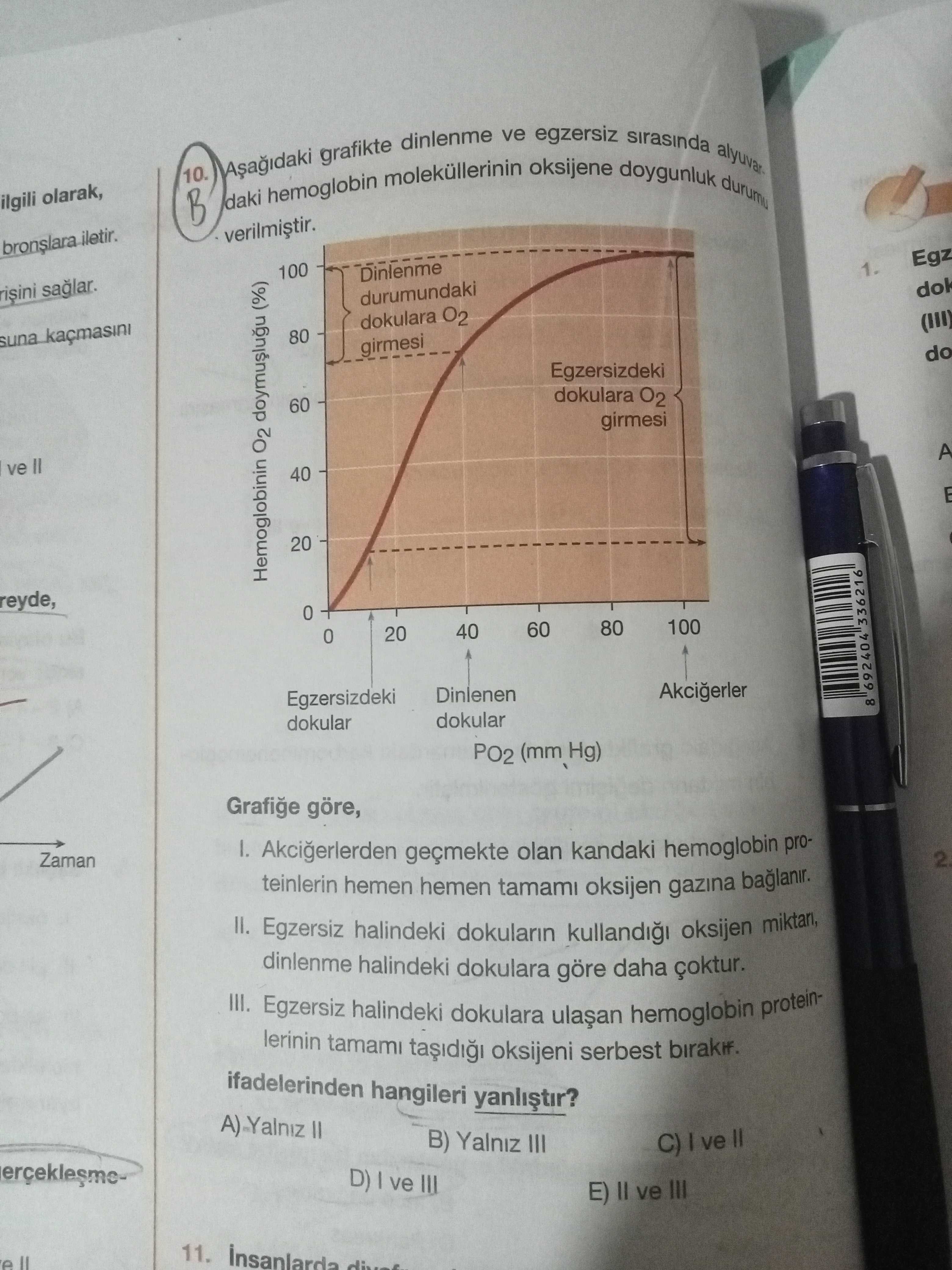 Aşağıdaki grafikte dinlenme ve egzersiz sırasında alınan daki hemoglobin moleküllerinin oksijene