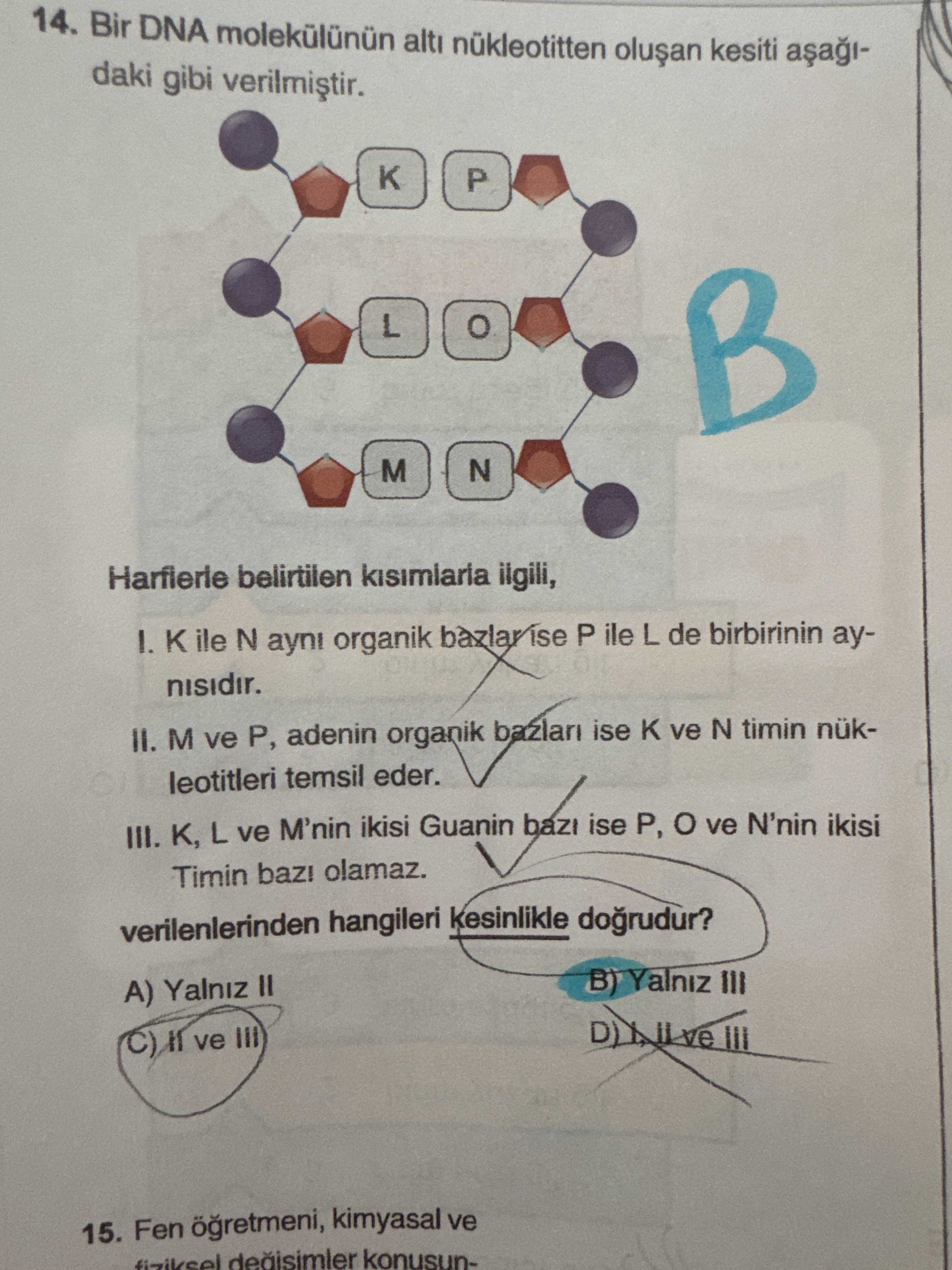14. Bir DNA alti nükleotitten kesiti daki gibi K P L M N belirtilen kisimiaria I. ile N ayni organik bazlarise P ile L de birbirinin ayM ve P, adenin organik ise ve N timin nükleotitleri temsil eder. III. K, L ve M'nin ikisi Guanin baz ise P, ve N'nin ikisi Timin olamaz. verilenlerinden hangileri kesinlikle dogrudur. B) Yalniz III A) Yalniz II III C) ve III 15. Fen kimyasal ve fiziksel konusun14. Fen kimyasal ve fiziksel konusun-. ?? Model.Question.title