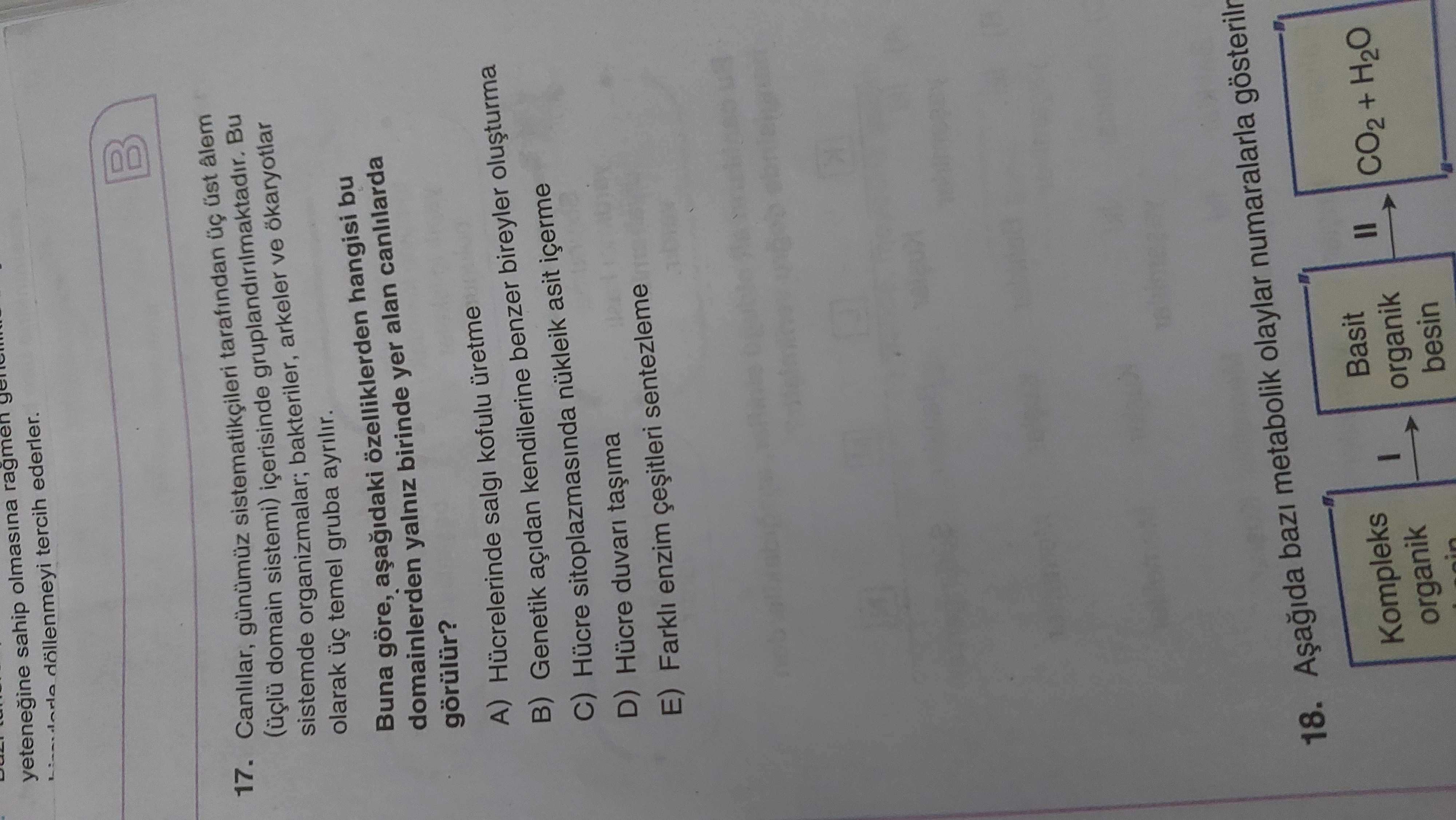 Yetenegine sahip olmasina döllenmeyi tercih ragmen ederler. 17. Canlilar, günümüz sistematikçileri tarafindan üst âlem (üçlü domain sistemi) içerisinde Bu sistemde organizmalar; bakteriler, arkeler ve ökaryotlar olarak temel gruba ayrilir. Buna göre, özelliklerden hangisi bu domainlerden yalniz birinde yer alan canlilarda görülür. A) Hücrelerinde salgi kofulu üretme B) Genetik açidan kendilerine benzer bireyler C) Hücre sitoplazmasinda nükleik asit içerme D) Hücre duvari E) Farkli enzim sentezleme 18. metabolik olaylar numaralarla Kompleks Basit organik CO2 + H2O besin yetenegine sahip olmasina döllenmeyi tercih ragmen ederler. metabolik olaylar numaralarla Kompleks Basit organik CO2 + H2O besin. ?? Model.Question.title