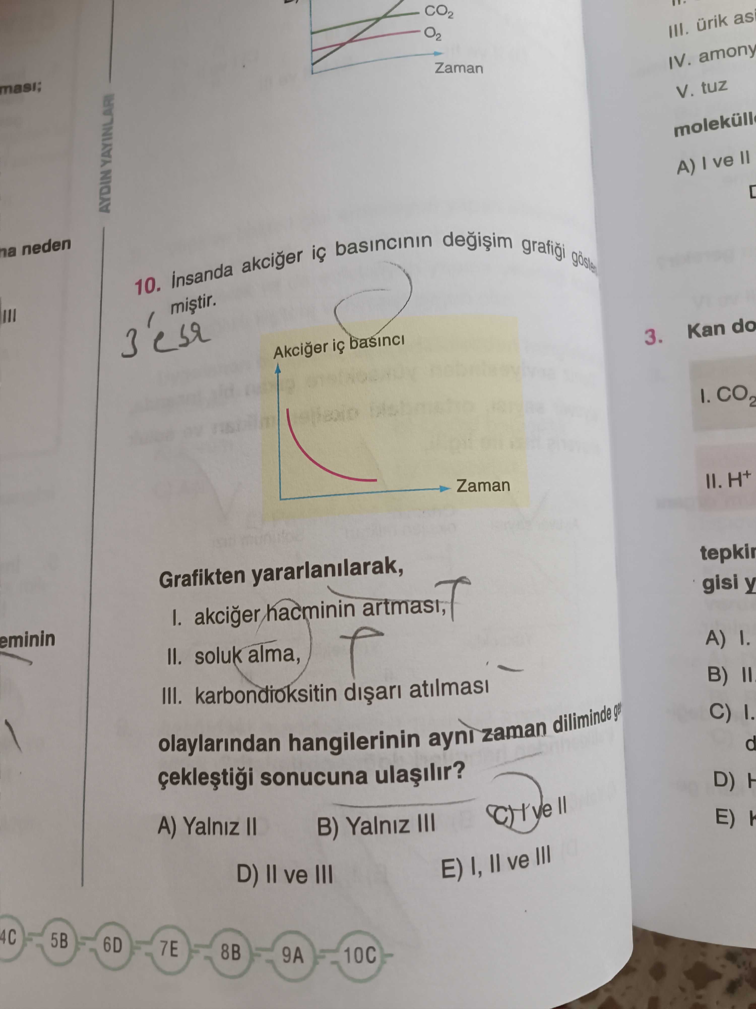İnsanda akciğer iç basıncının değişim grafiği gösterilmiştir. Grafikten yararlanılarak, I. akciğer