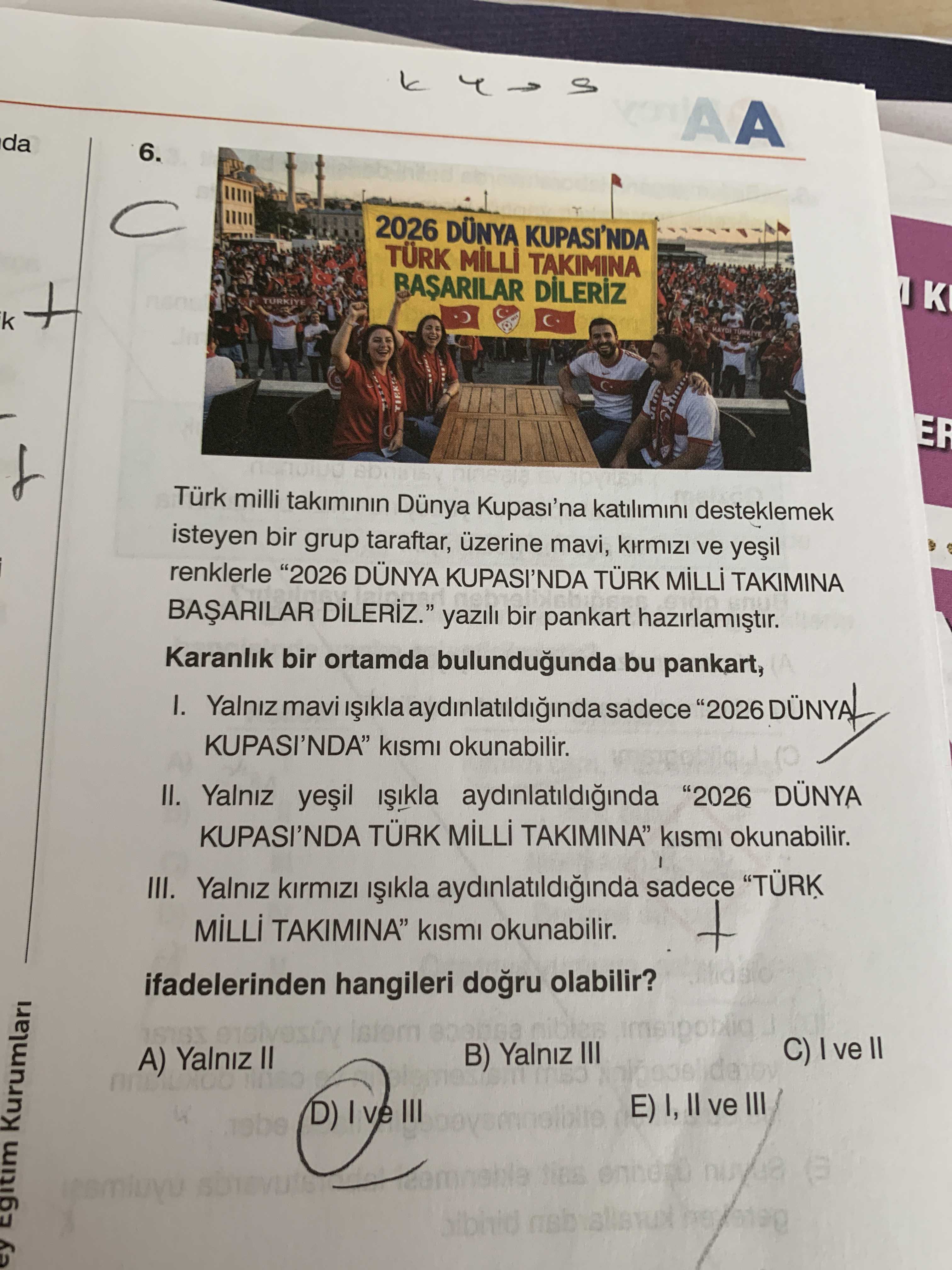 Türk milli takımının Dünya Kupası'na katılımını desteklemek isteyen bir grup taraftar, üzerine mavi