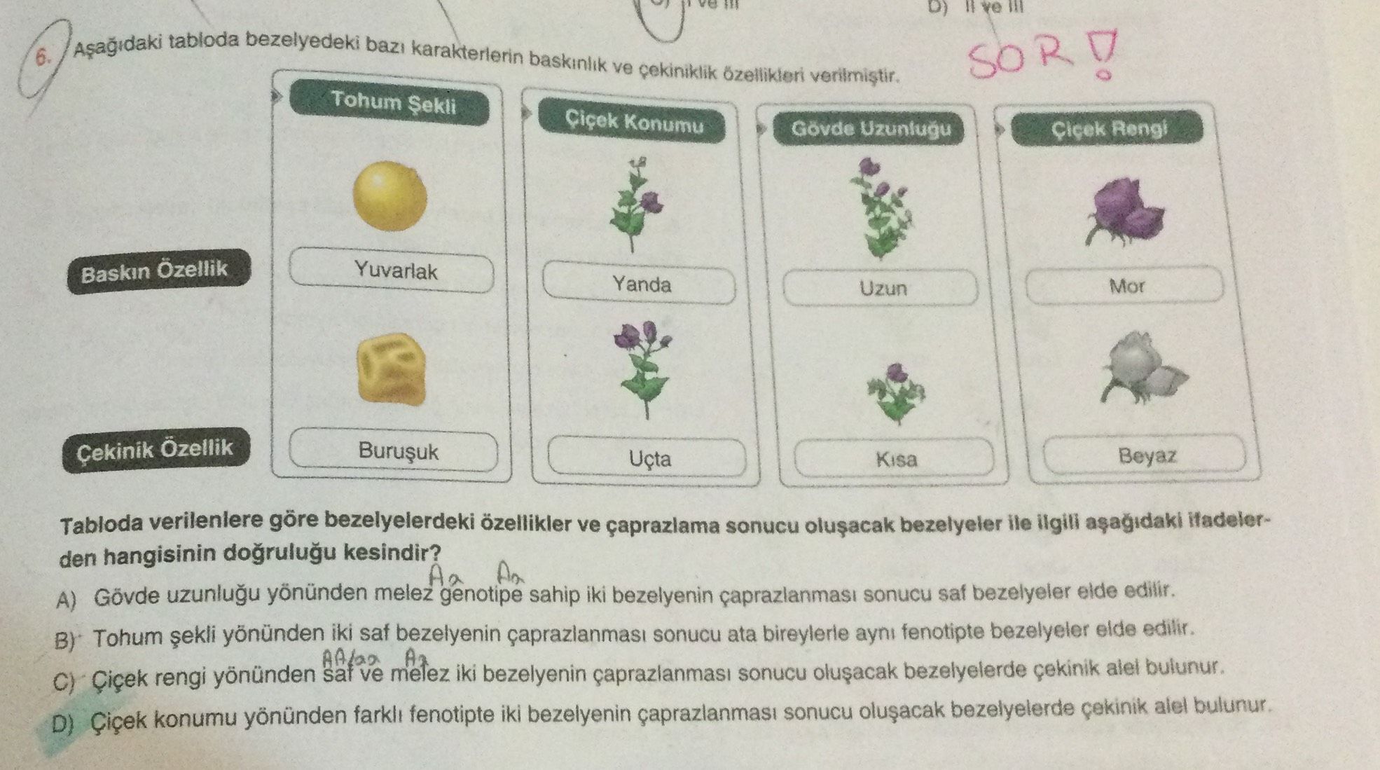 Aşağıdaki tabloda bezelyedeki bazı karakterlerin baskınlık ve çekiniklik özellikleri verilmiştir