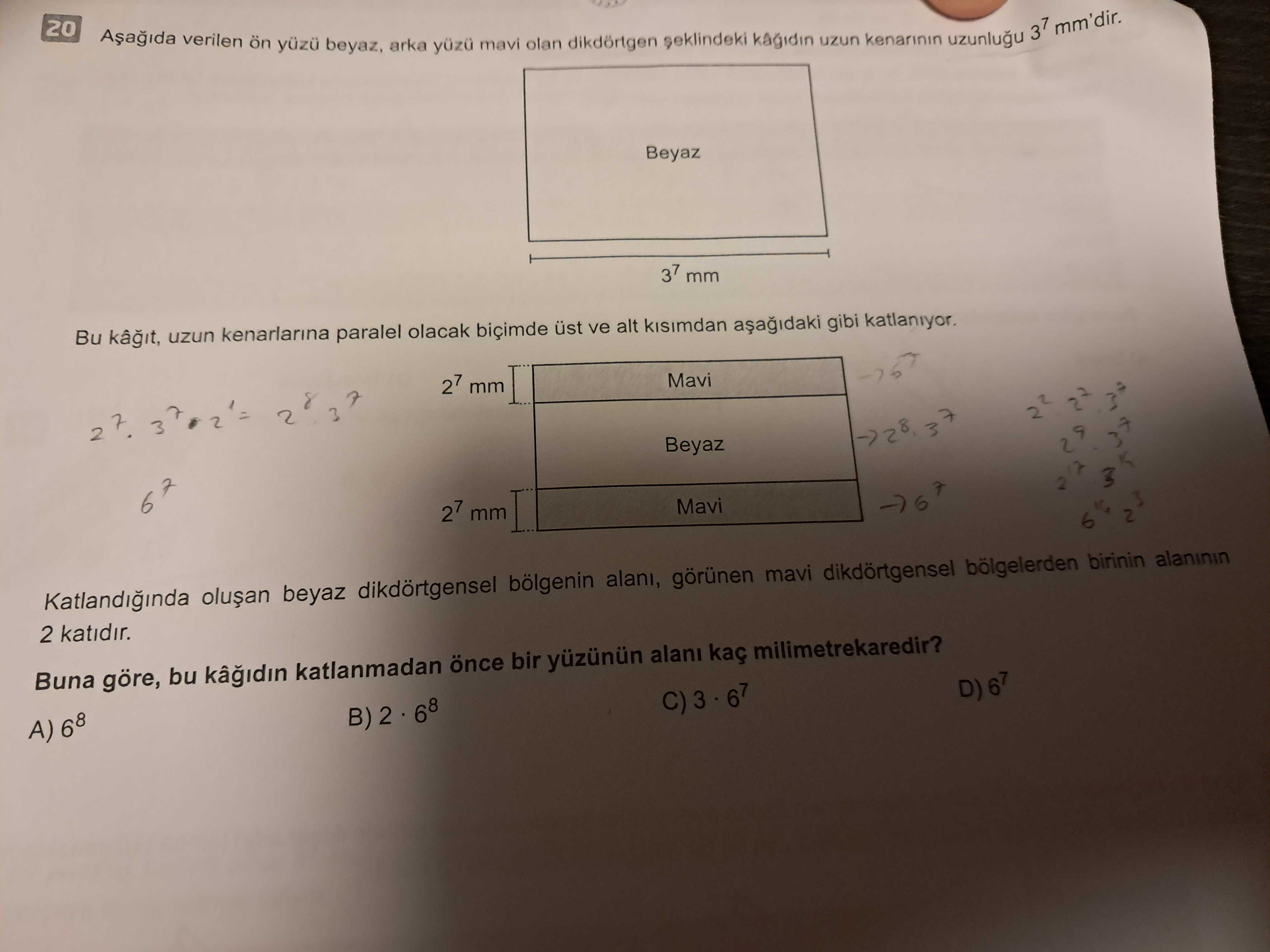 Matematik (8. Sınıf)