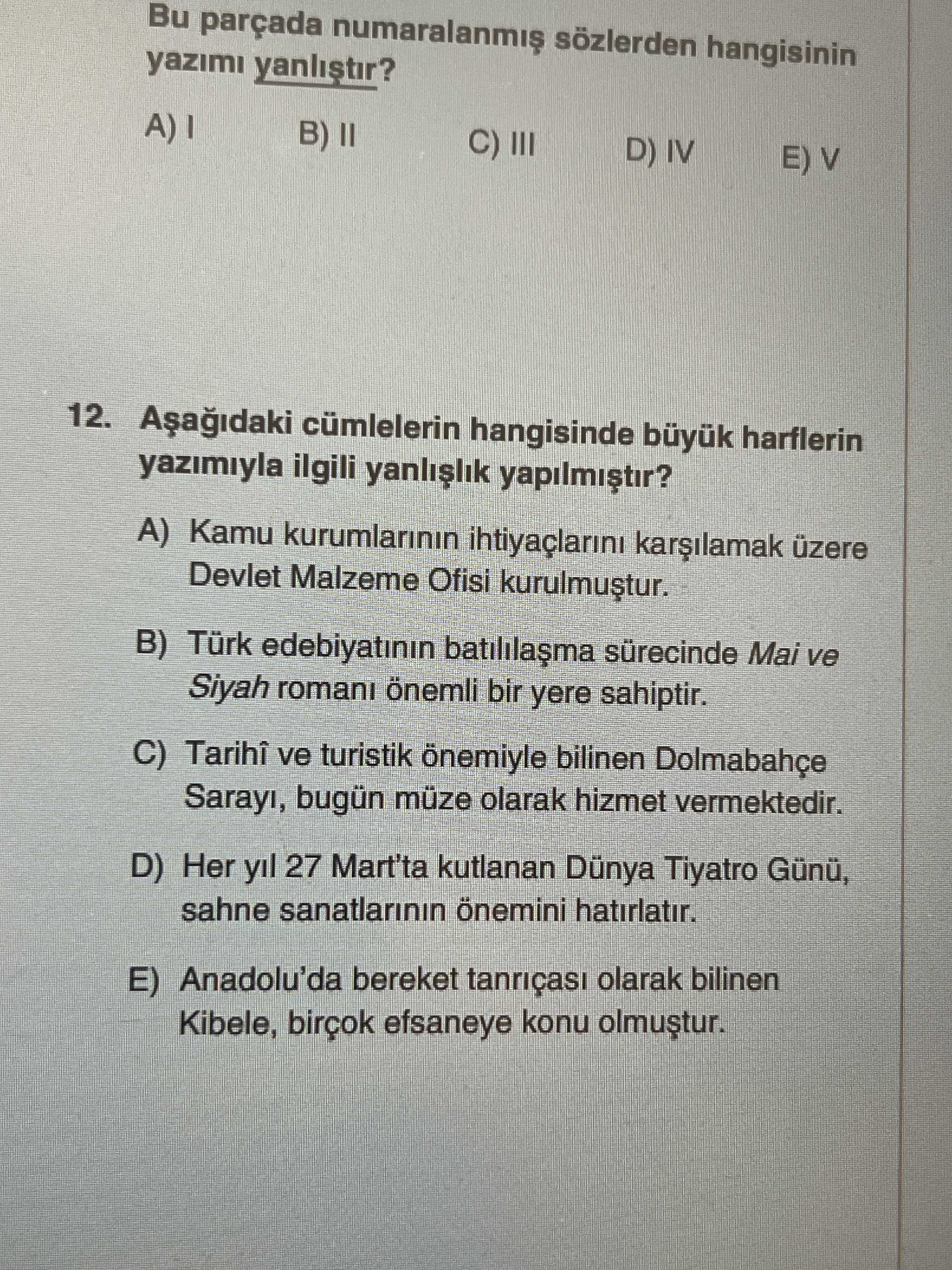 Aşağıdaki cümlelerin hangisinde büyük harflerin yazımıyla ilgili yanlışlık yapılmıştır?