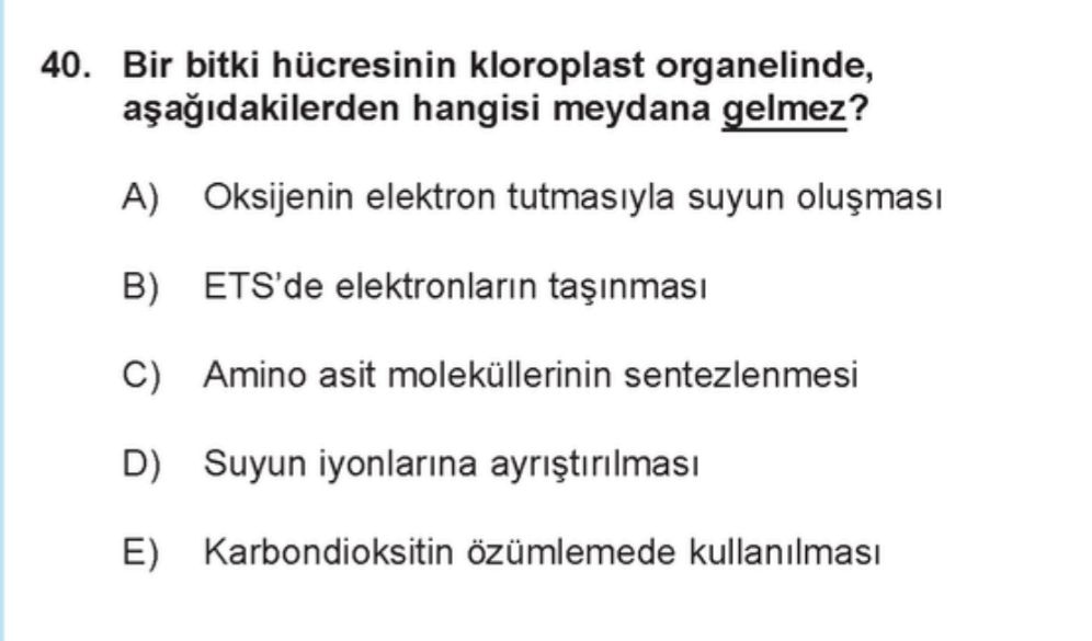 Bir bitki hücresinin kloroplast organelinde, aşağıdakilerden hangisi meydana gelmez?