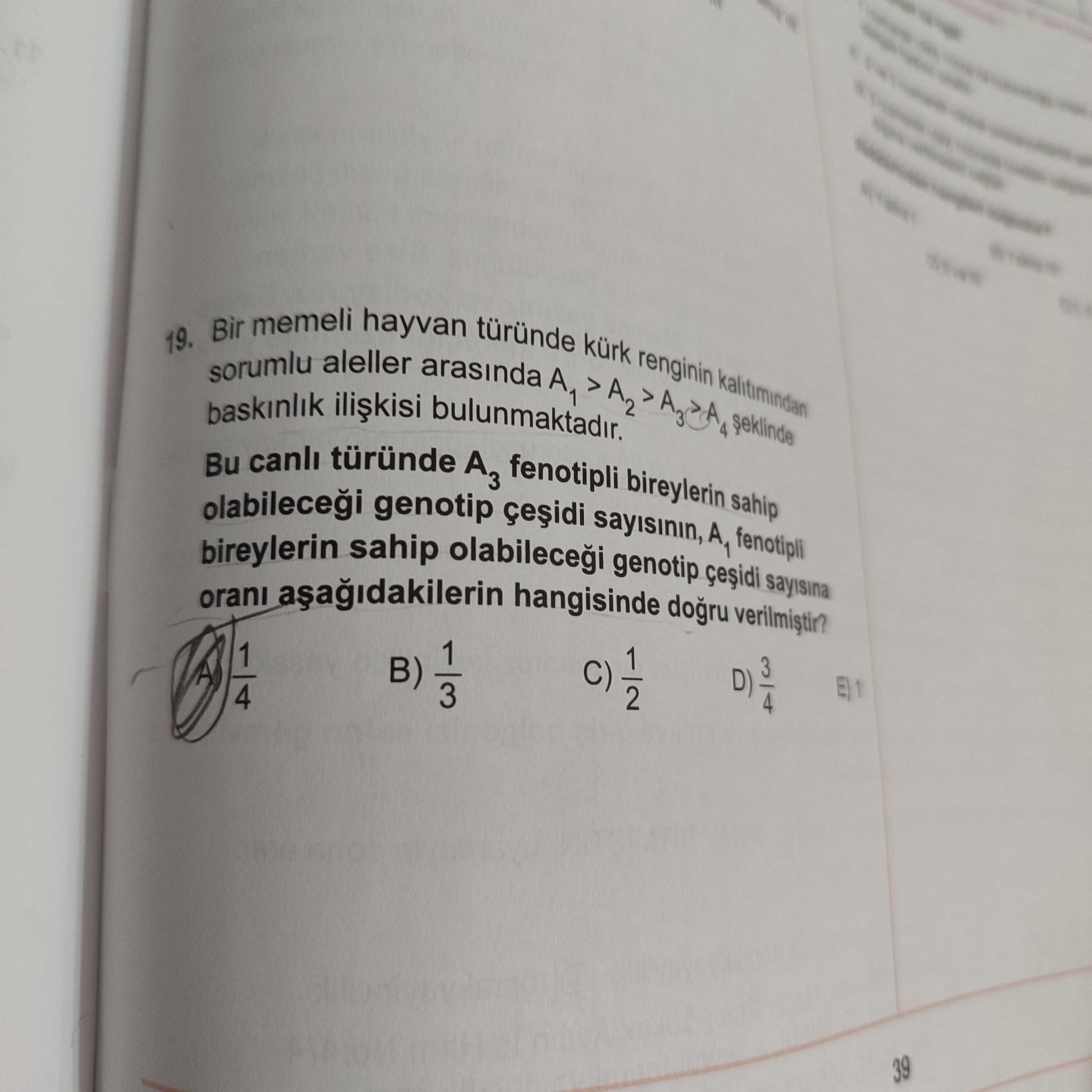 Bir memeli hayvan türünde kürk renginin kalıtımından sorumlu aleller arasında A₁ > A₂ > A₃ > A₄