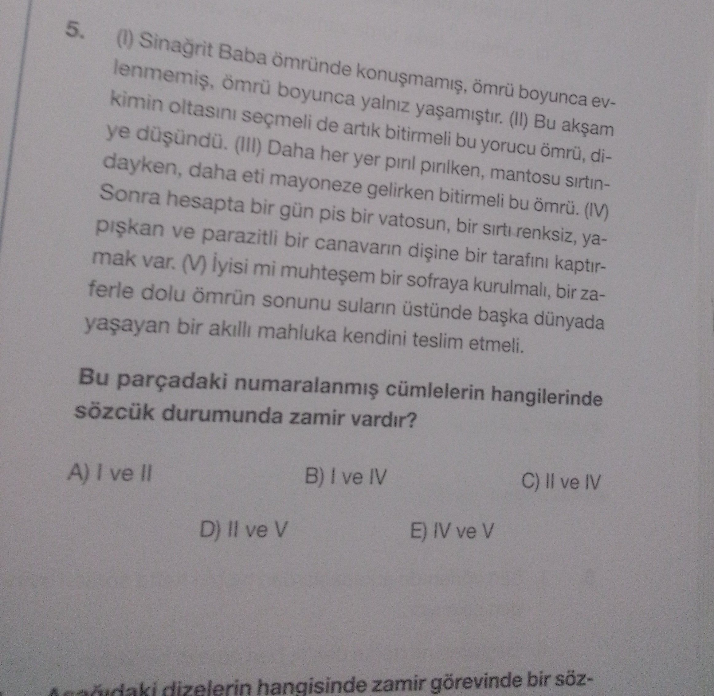 (I) Sinağrit Baba ömründe konuşmamış, ömrü boyunca evlenmemiş, ömrü boyunca yalnız yaşamıştır. (II)