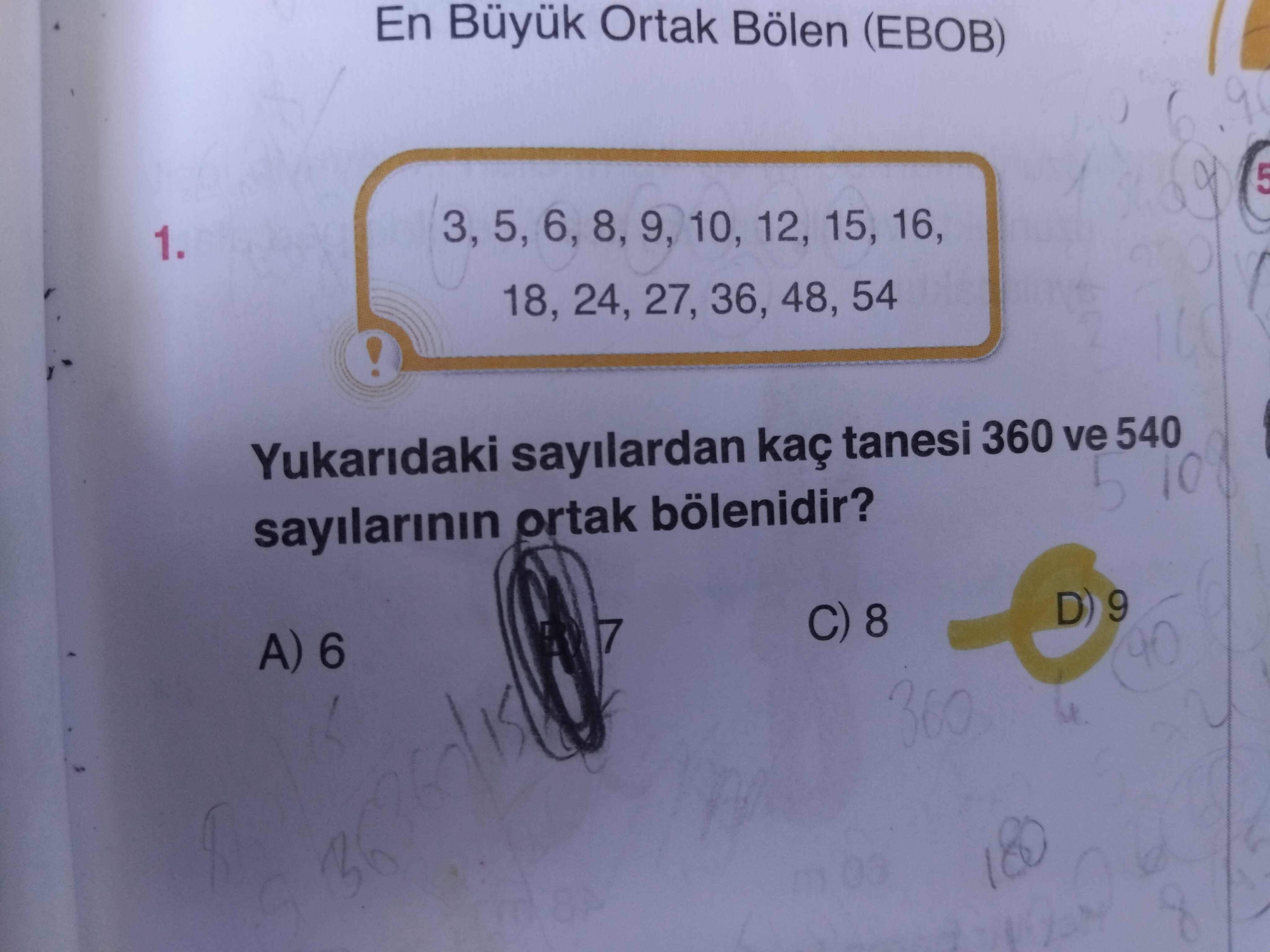 Matematik (8. Sınıf)