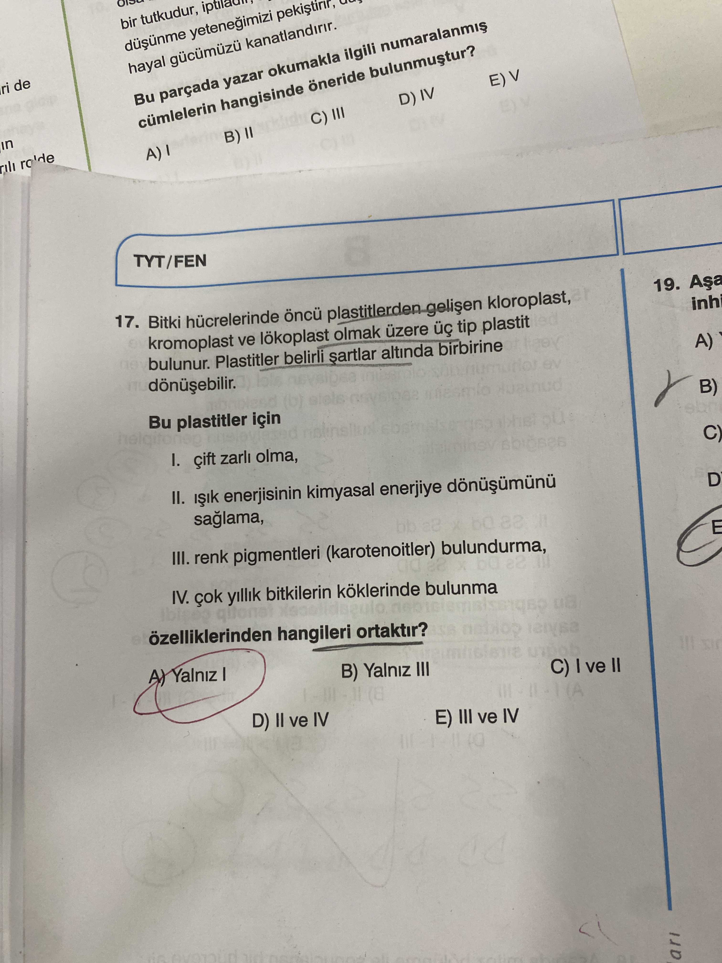 Bitki hücrelerinde öncü plastitlerden gelişen kloroplast, kromoplast ve lökoplast olmak üzere üç tip