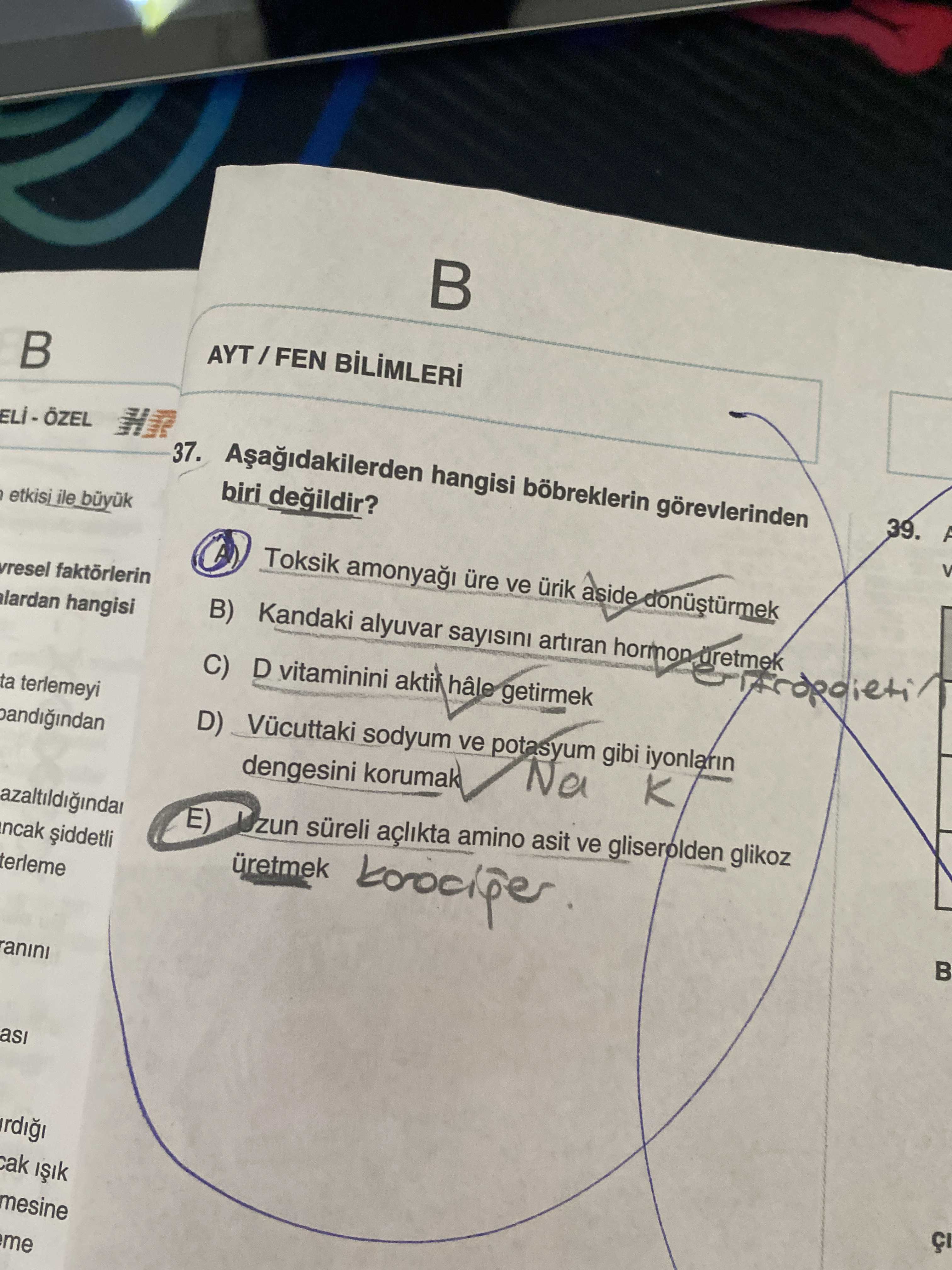 Aşağıdakilerden hangisi böbreklerin görevlerinden biri değildir?