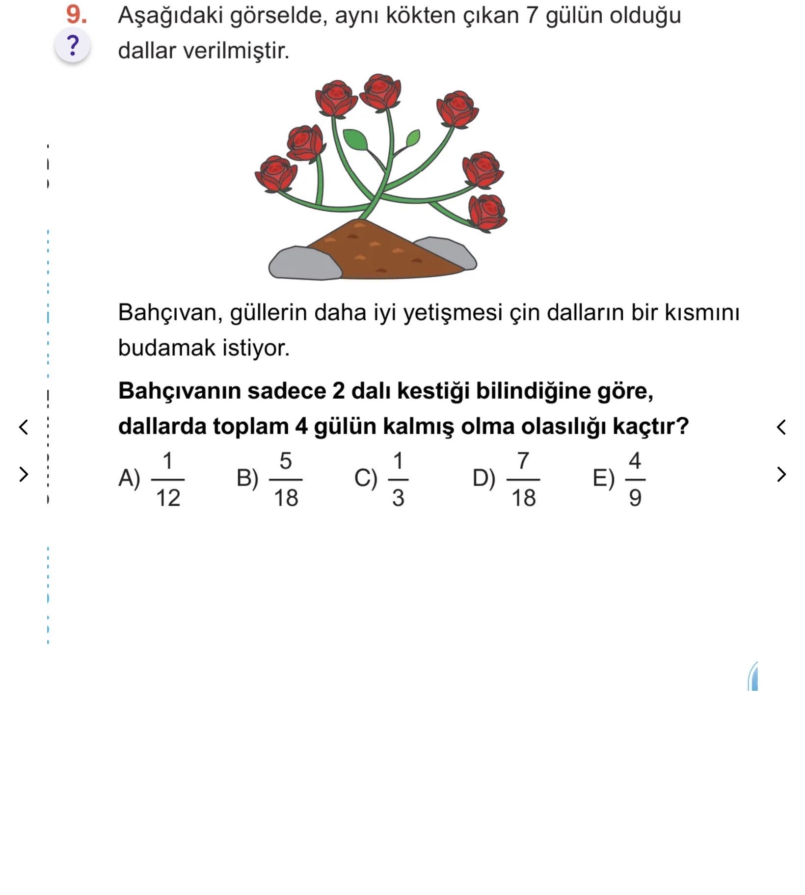 Aşağıdaki görselde, aynı kökten çıkan 7 gülün olduğu dallar verilmiştir. Bahçıvan, güllerin daha iyi
