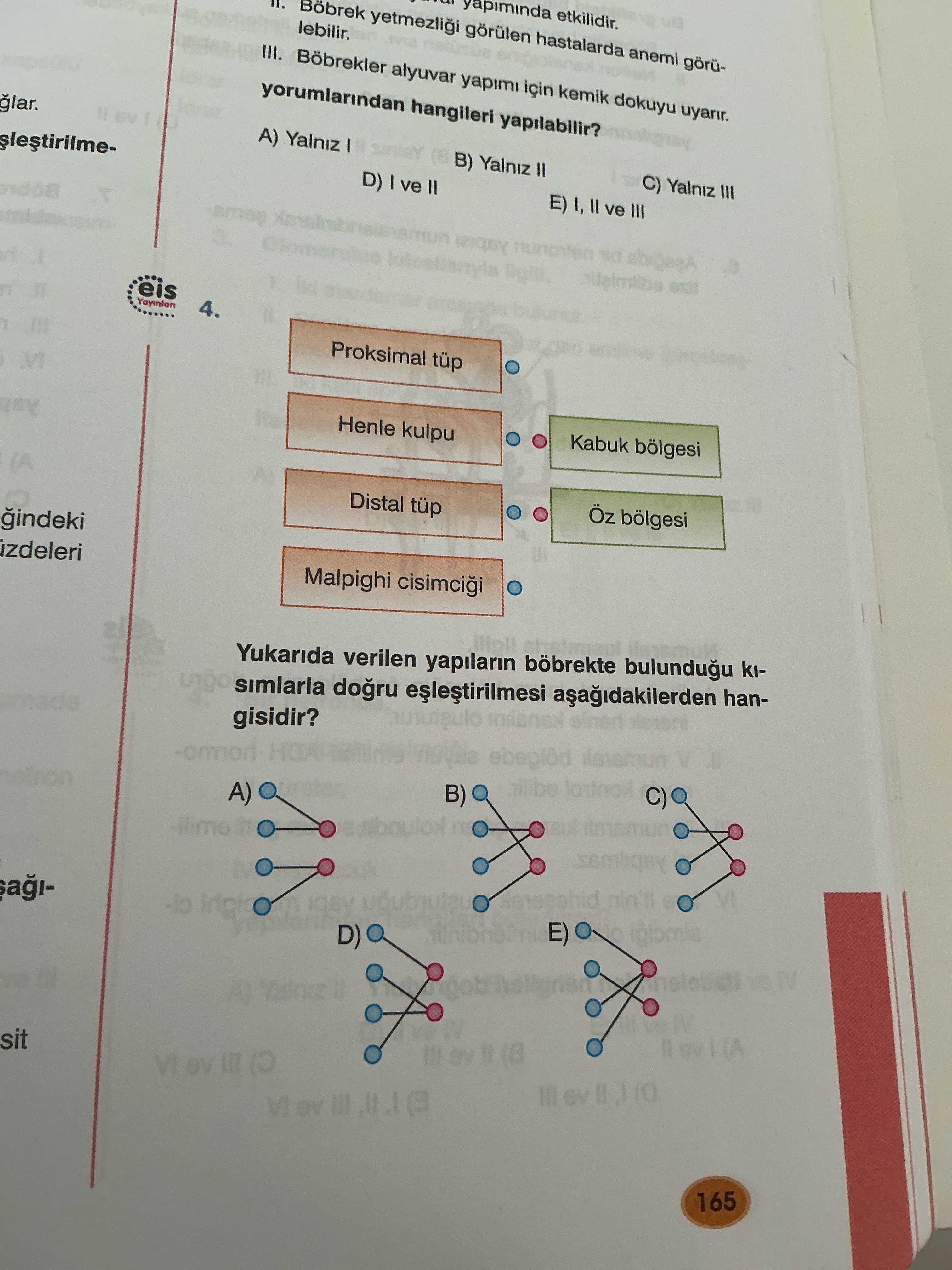 Proksimal tüp Henle kulpu Kabuk bölgesi Distal tüp Öz bölgesi Malpighi cisimciği Yukarıda verilen