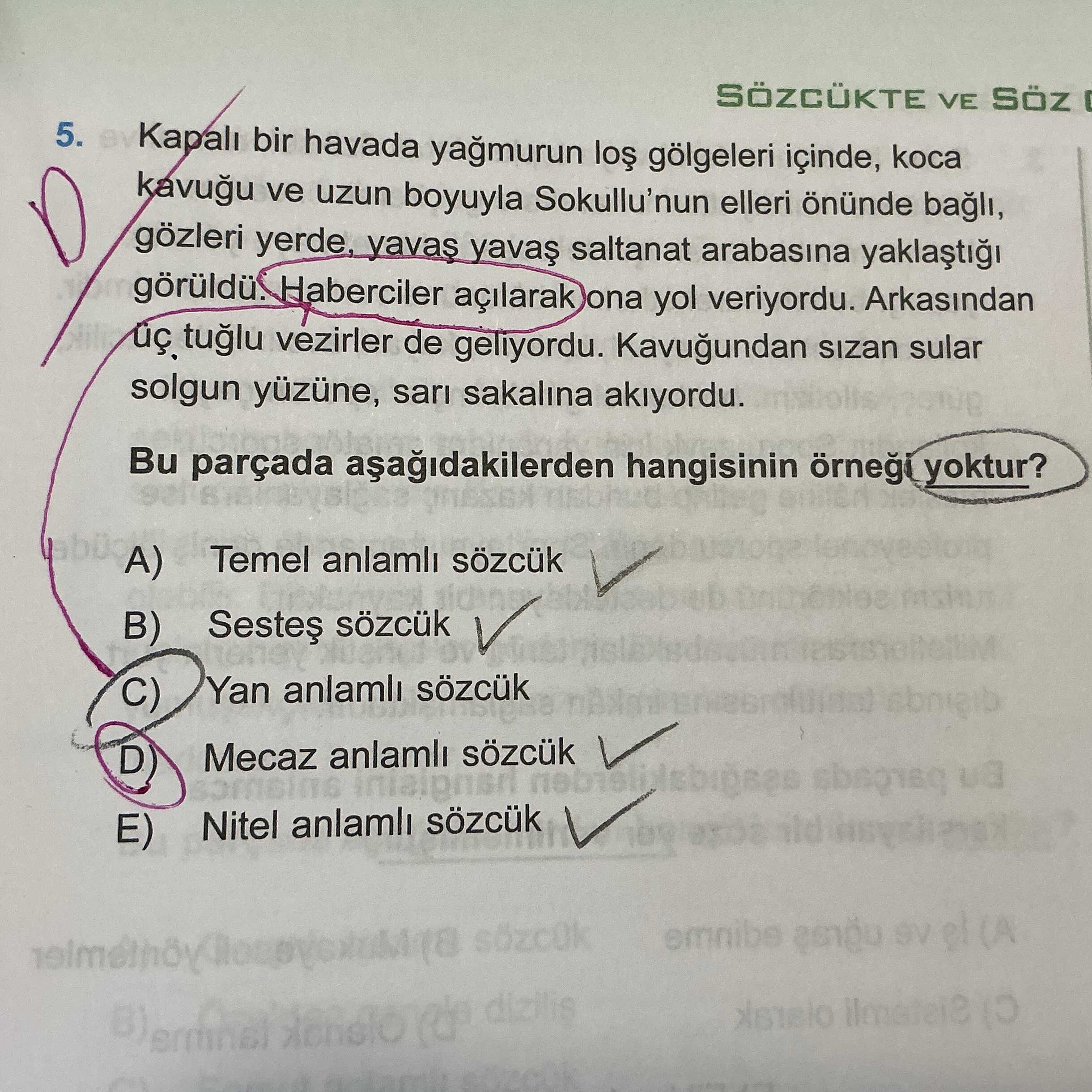 Kapalı bir havada yağmurun loş gölgeleri içinde, koca kavuğu ve uzun boyuyla Sokullu'nun elleri