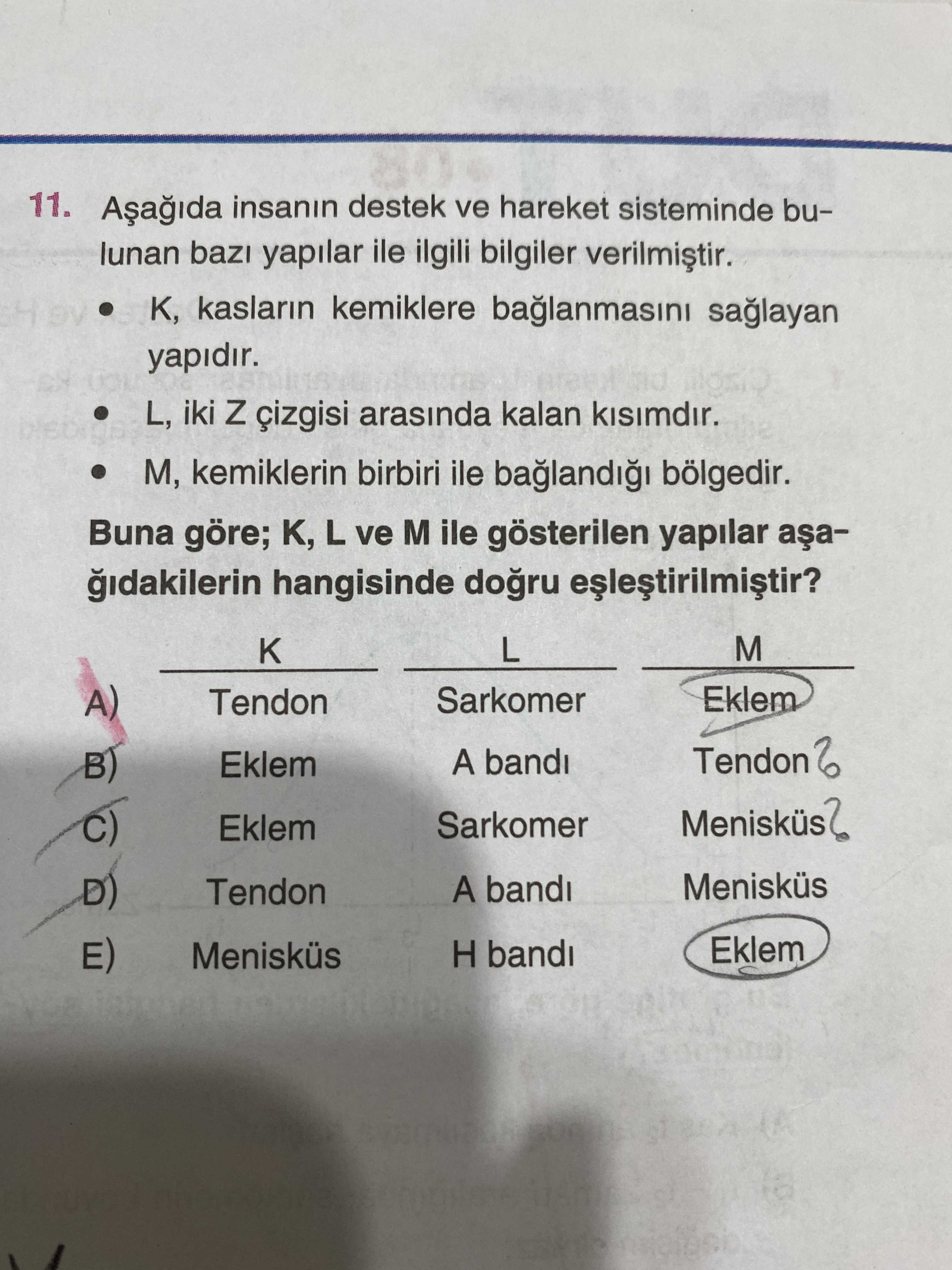 Aşağıda insanın destek ve hareket sisteminde bulunan bazı yapılar ile ilgili bilgiler verilmiştir. •