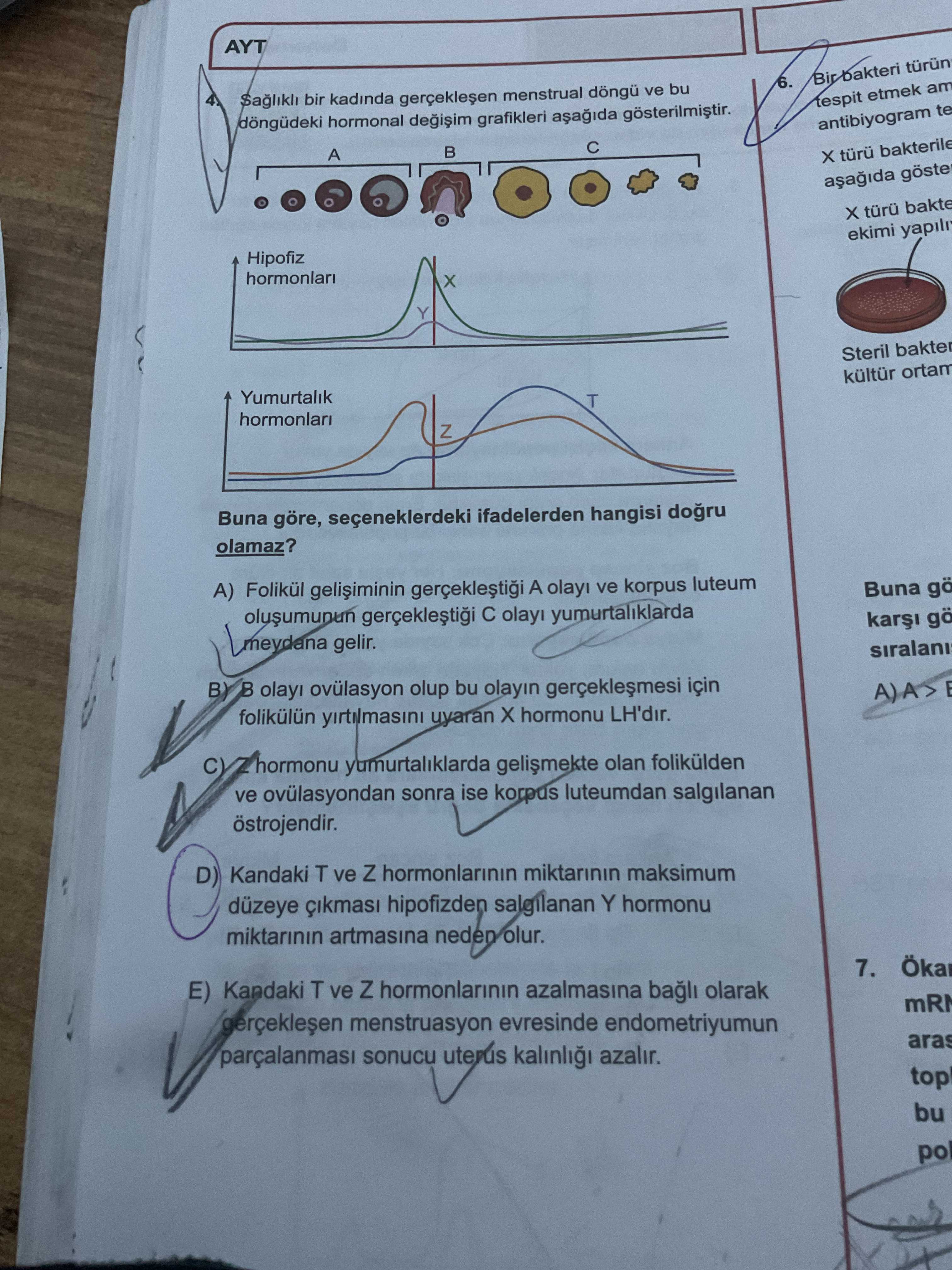 Sağlıklı bir kadında gerçekleşen menstrual döngü ve bu döngüdeki hormonal değişim grafikleri aşağıda