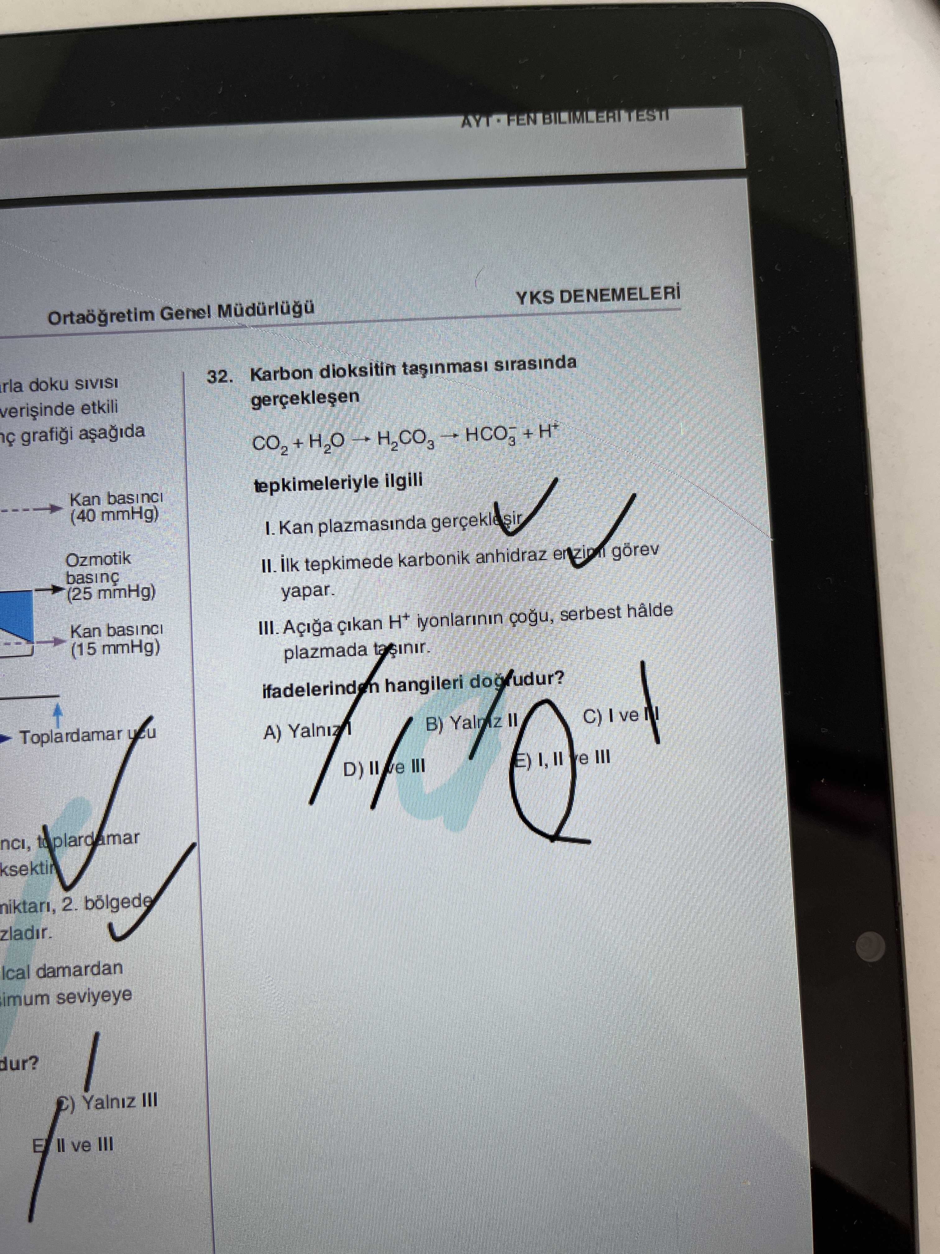 Karbon dioksitin taşınması sırasında gerçekleşen CO₂ + H₂O → H₂CO₃ → HCO₃⁻ + H⁺ tepkimeleriyle