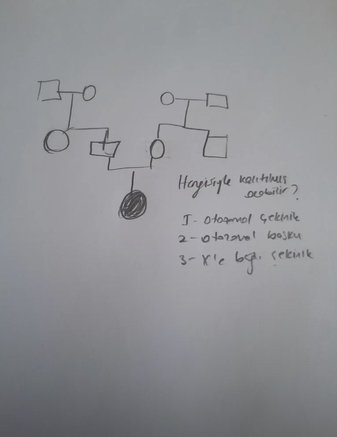 Hangisiyle kalıtılmış olabilir? 1- Otozomal çekinik 2- Otozomal baskın 3- X'e bağlı çekinik