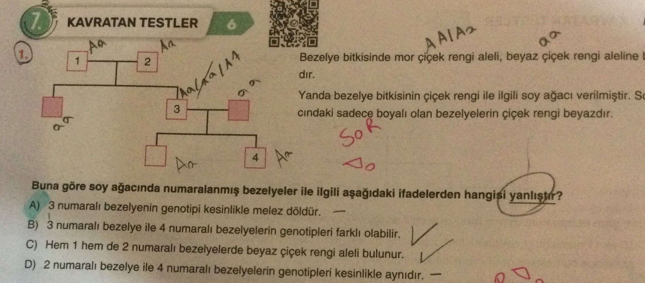KAVRATAN TESTLER 6 1) [Şema gösteriliyor: 1-2 kutularından 3 kutusuna, 3 kutusundan da alt