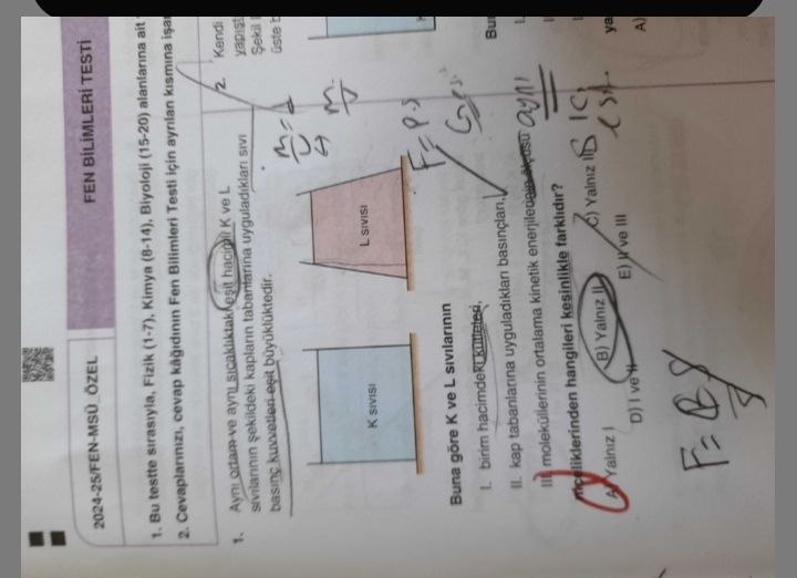 Fizik (11. Sınıf)